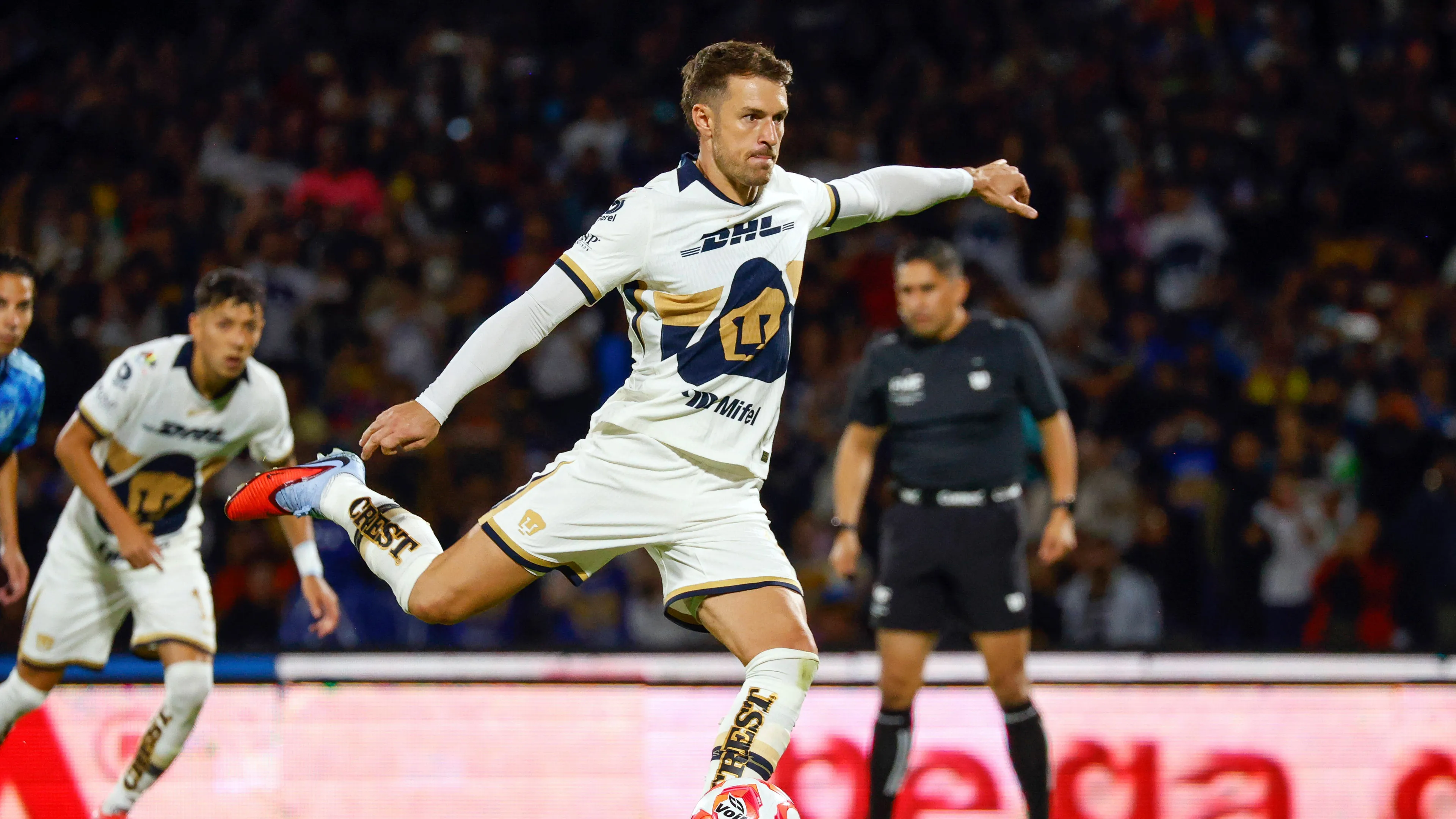 Tutti in cerca del cane di Ramsey: Giocatore disperato promette super ricompensa