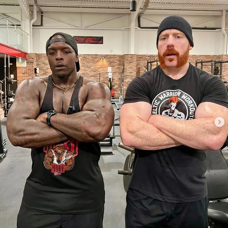 /images/a/k/i/akinfenwa-sheamus.jpg