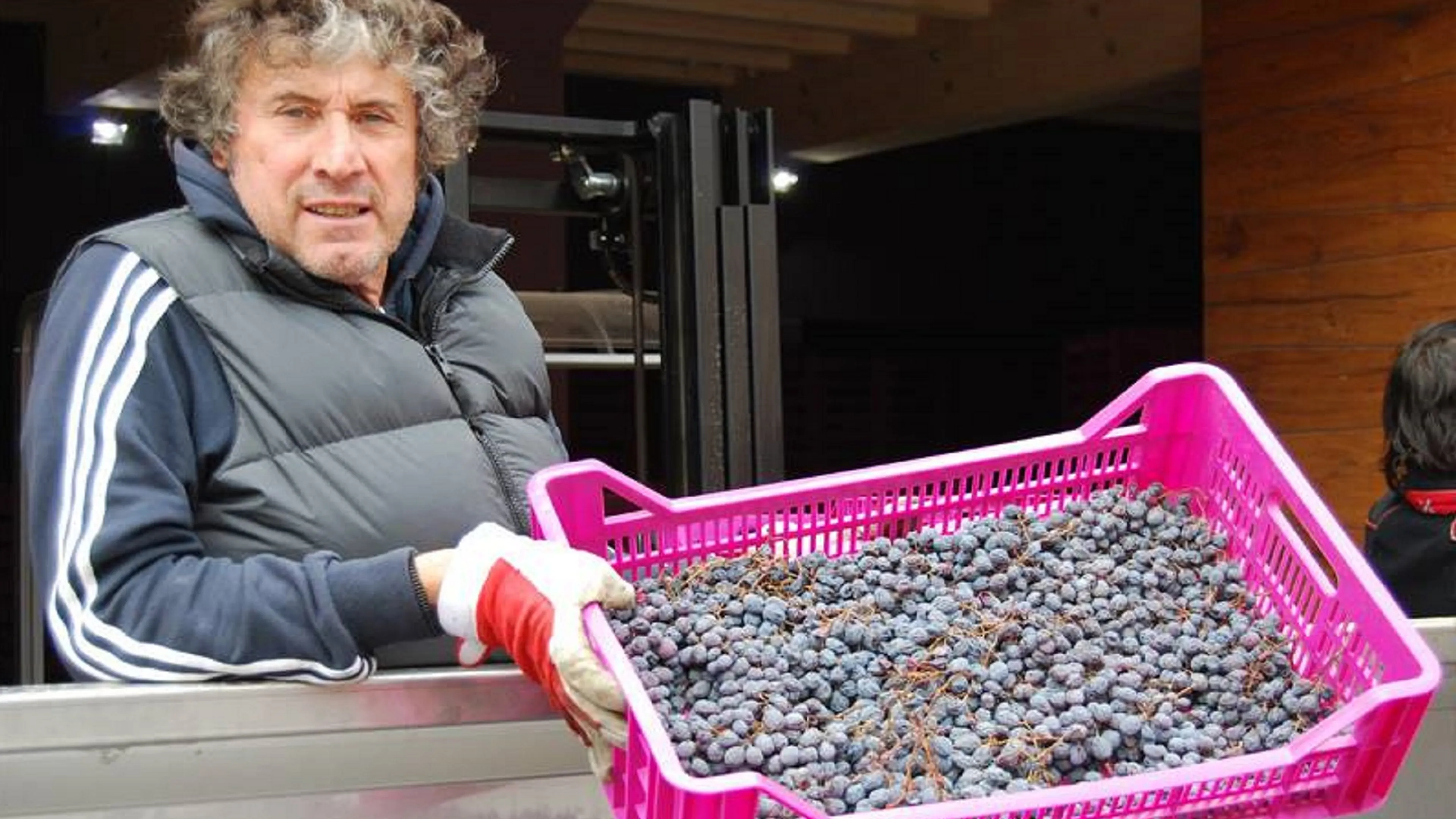 Copertina di Vi ricordate di Malesani? Si è dato al vino (FOTO)