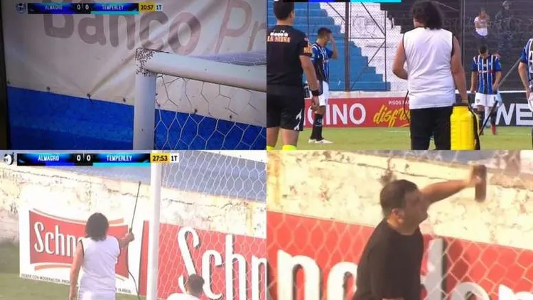 /images/a/r/b/arbitro-sospende-la-partita-per-invasione-di-api.jpg