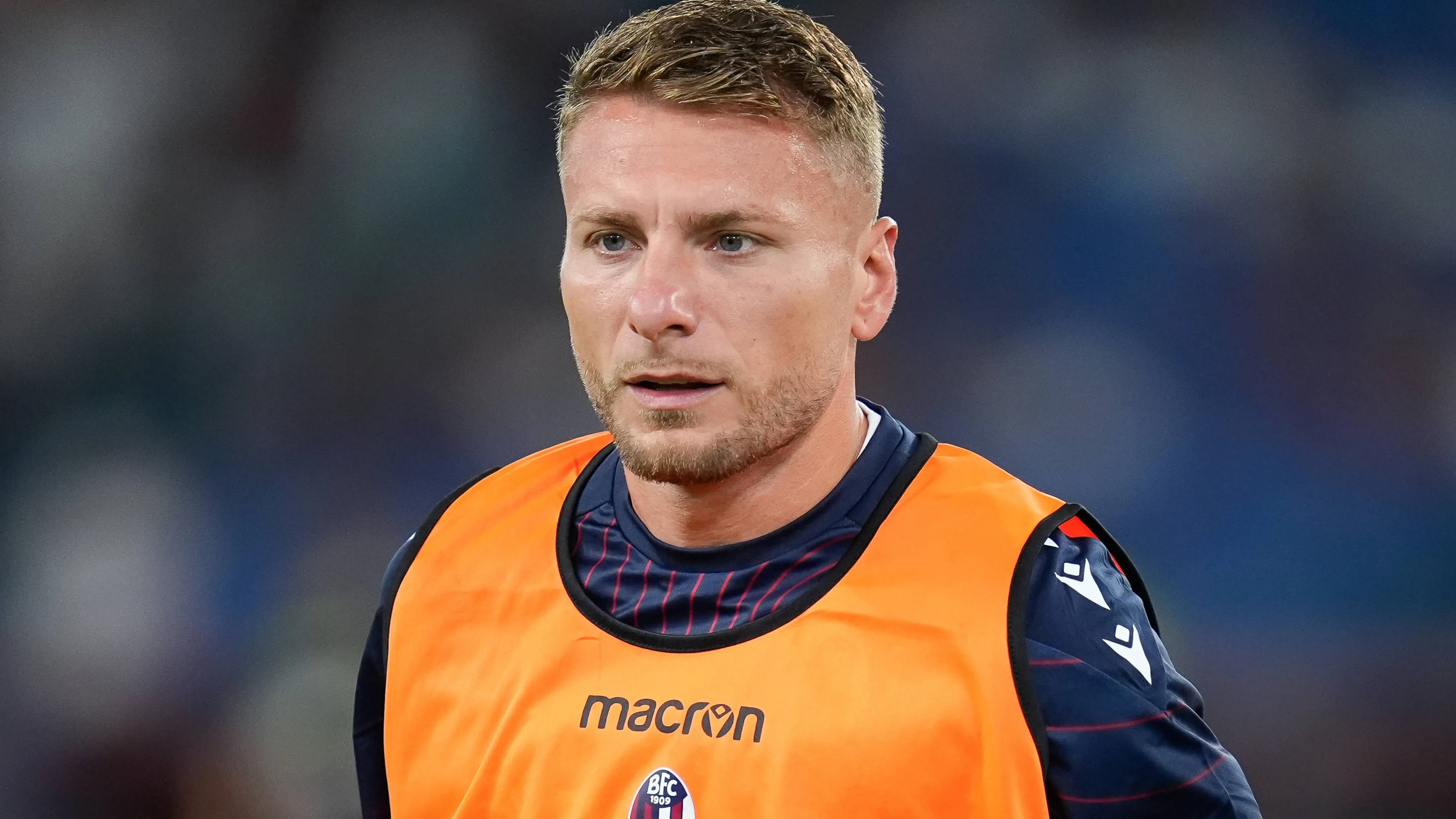 Fantacalcio, l'ad del Bologna Fenucci fa sorridere i tifosi: "Immobile recupererà in fretta"