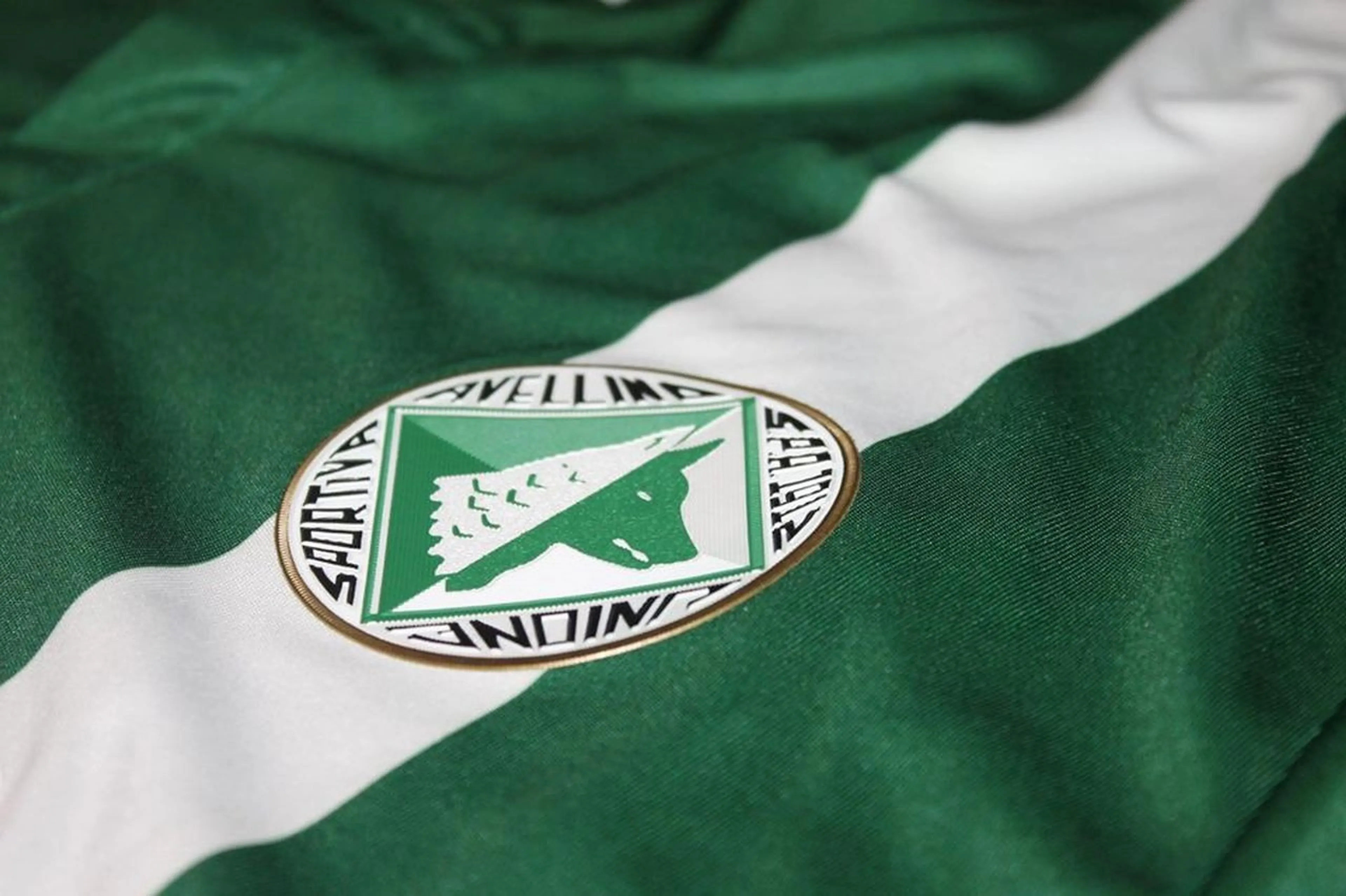 Copertina di Avellino, genitore minaccia responsabile giovanili: “Se non gioca mio figlio ti taglio la testa”