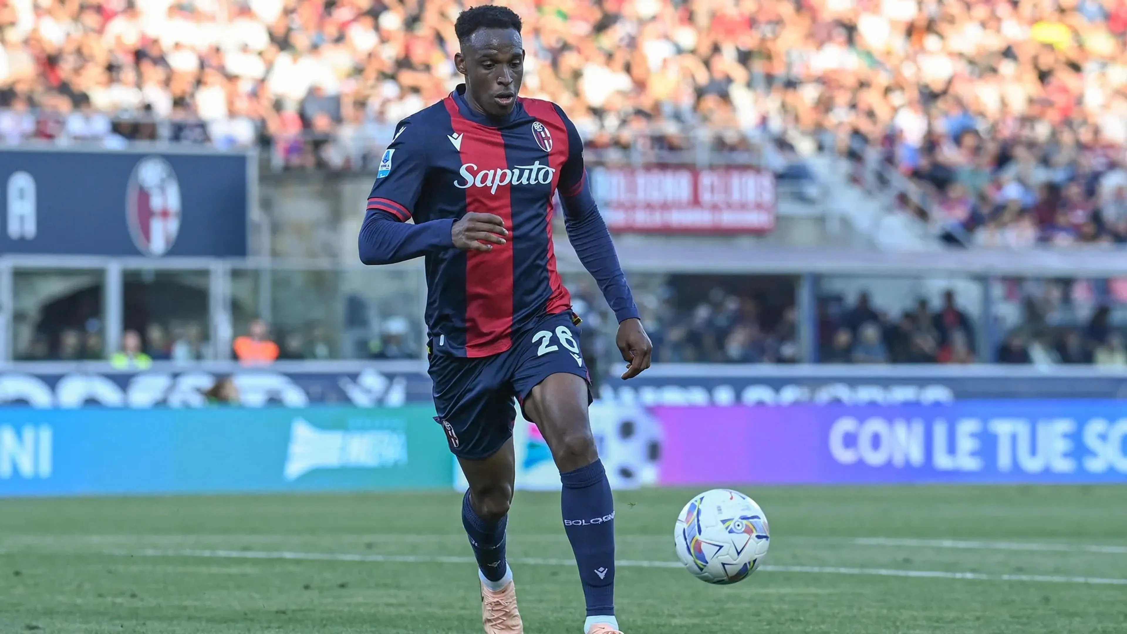 Calciomercato Bologna, tutti pazzi per Lucumì: c'è anche il Sunderland