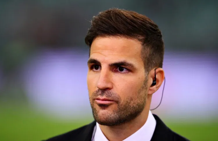 /images/c/e/s/cesc-fabregas-pundit-face.jpg