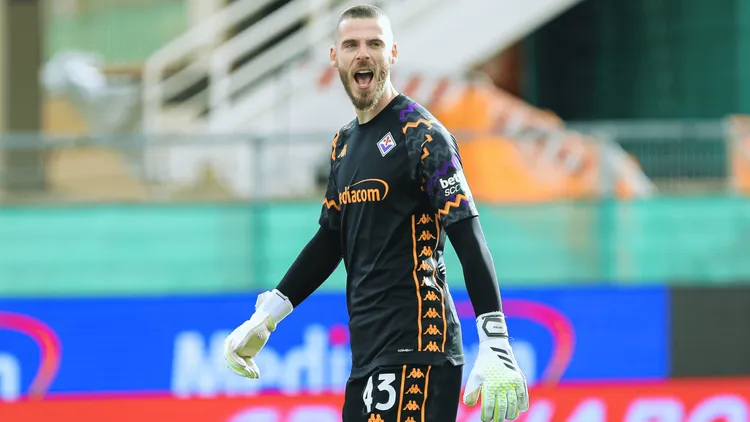 /images/d/e/g/de-gea-fiorentina-manchester-united-city.png