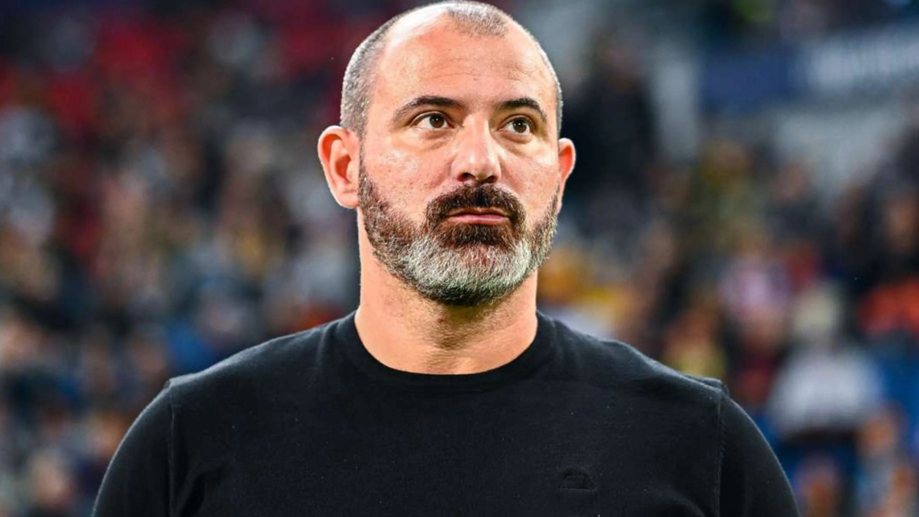 Copertina di Sampdoria-Salernitana, Stankovic: “Mi sono commosso per quello che ho visto”