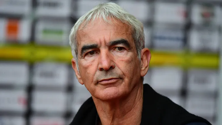 /images/d/o/m/domenech.jpg