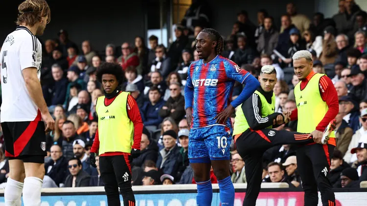 /images/e/p/i/Episodio-incredibile-durante-Fulham-Crystal-Palace.jpg