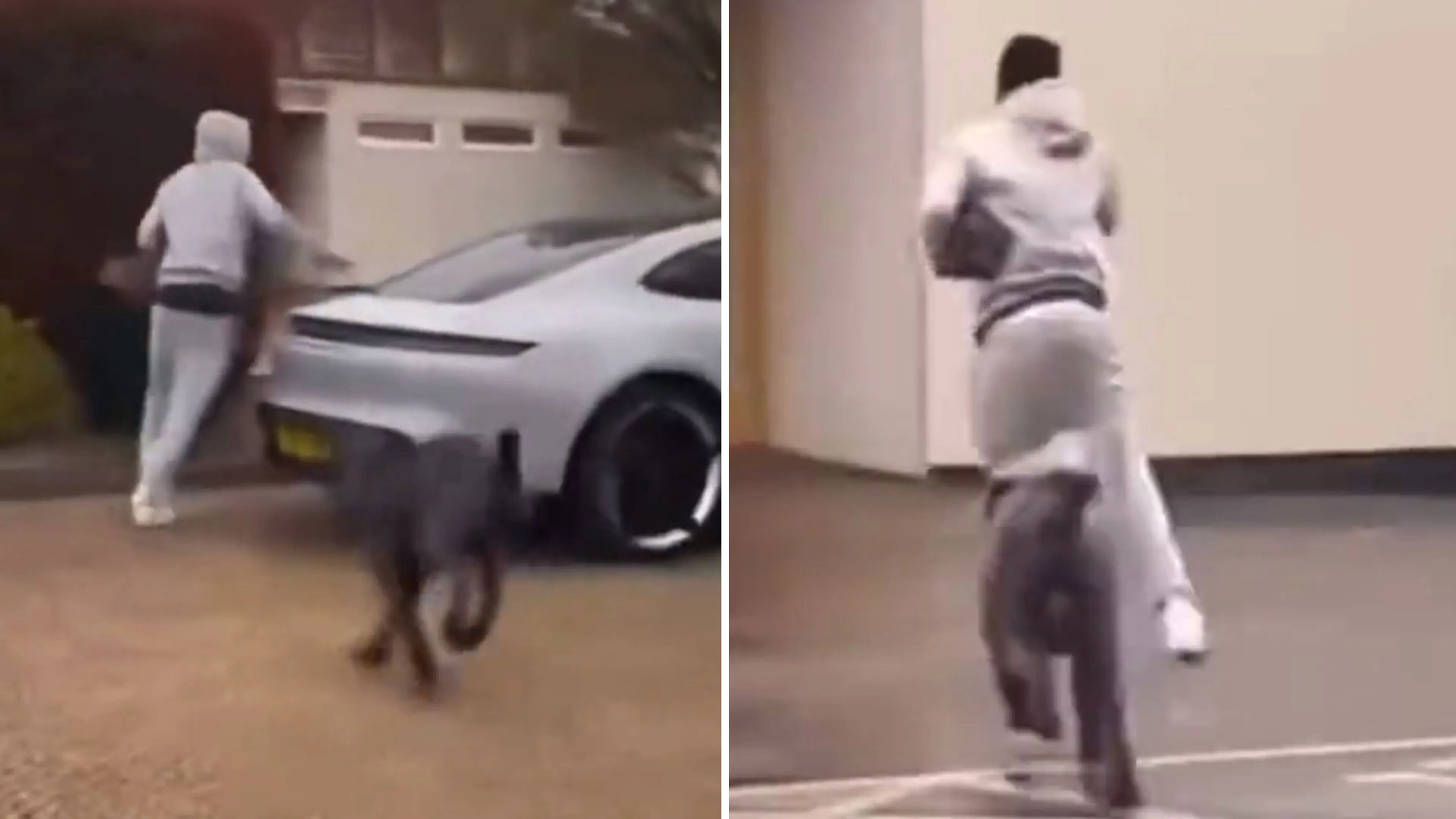 Copertina di Cornet del West Ham scappa terrorizzato da un cane enorme: la scena è esilarante (VIDEO)