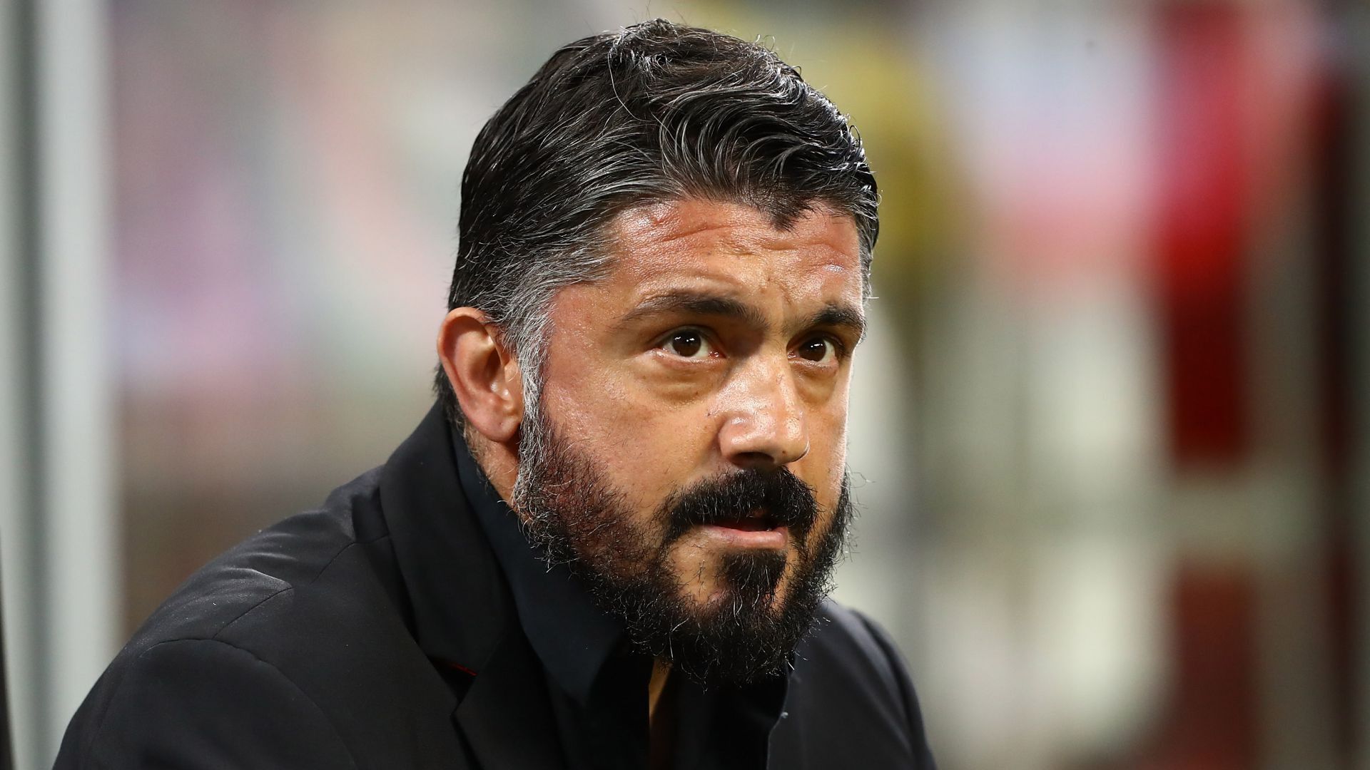 gattuso-lione-sparito