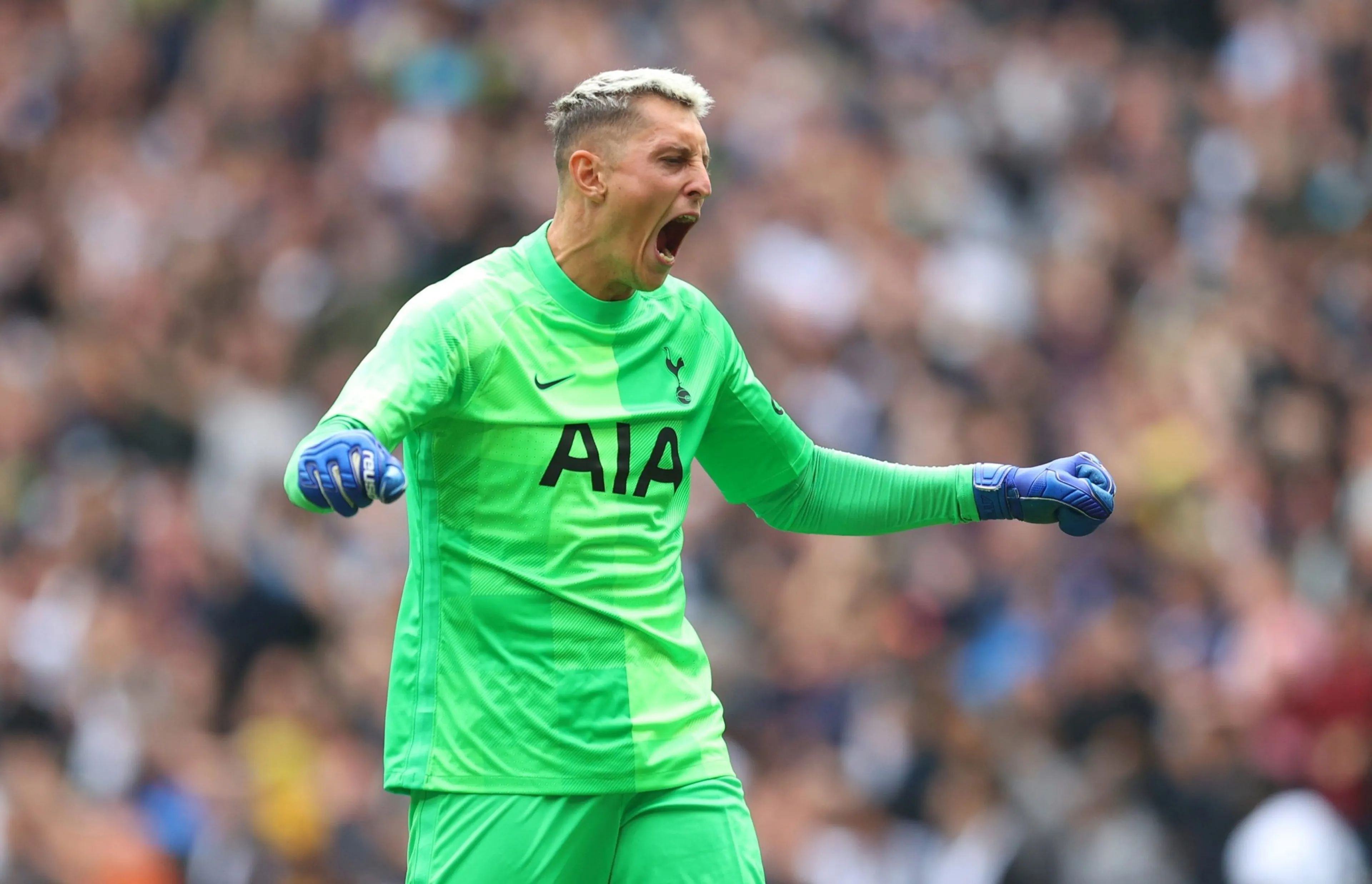 Copertina di La Uefa “diffida” il Tottenham per colpa di…Gollini