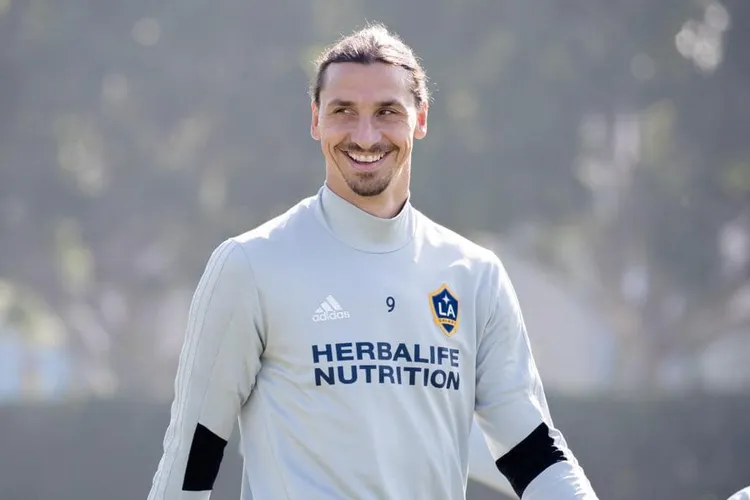 /images/i/b/r/ibrahimovic-come-garibaldi.jpg
