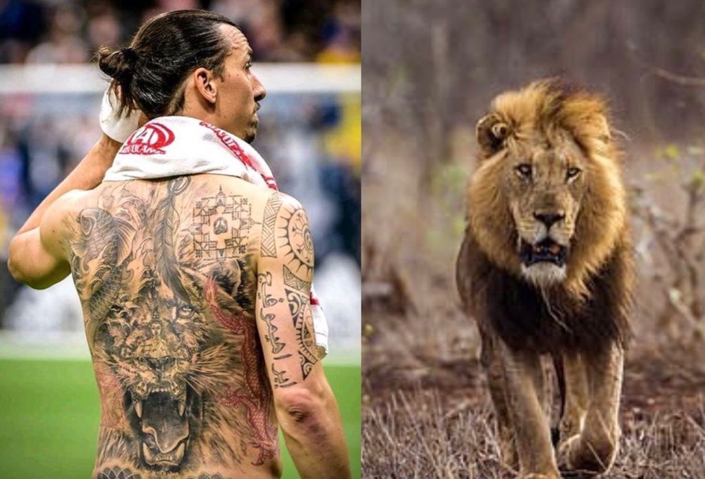 ibrahimovic-leone