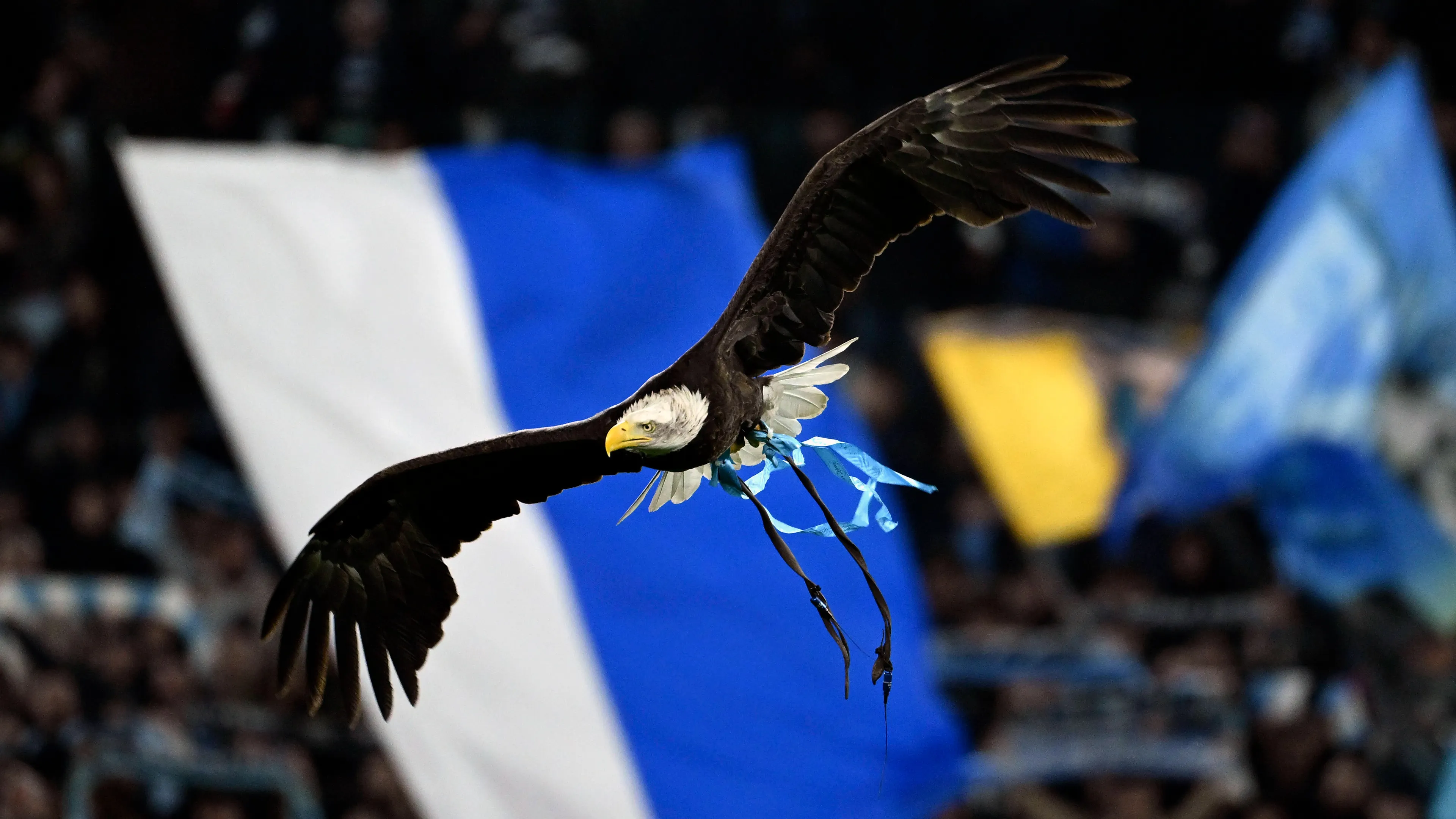 Lazio, il nuovo falconiere finisce nella bufera: riemergono vecchi post su Mussolini. Lui risponde così