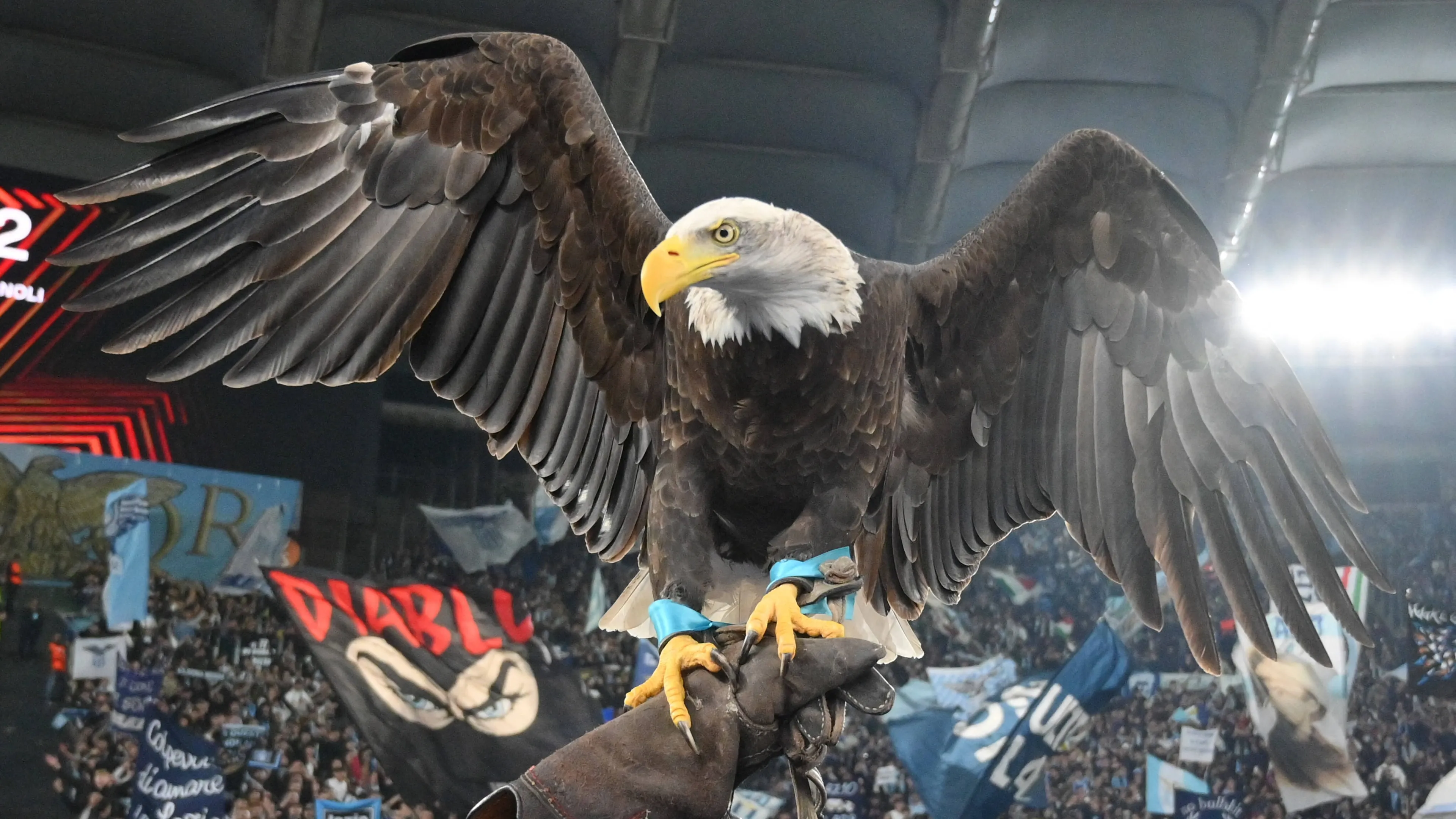 Lazio, il ritorno dell'Aquila: c'è l'annuncio del club biancoceleste