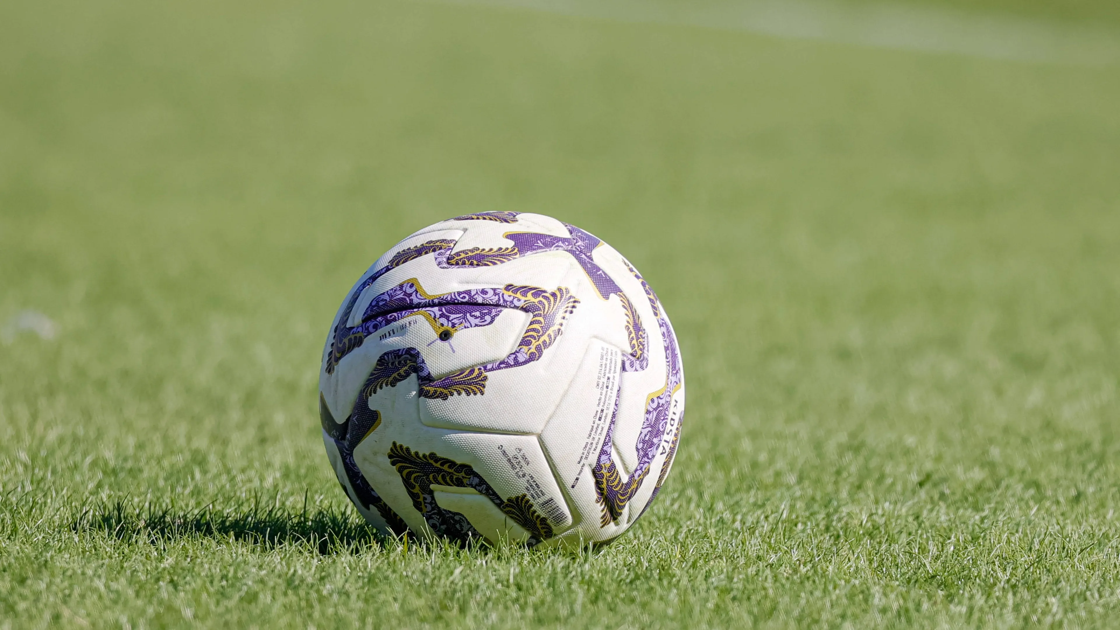 Momenti di paura in Albinoleffe-Lecco, partita sospesa: ecco cos'è successo