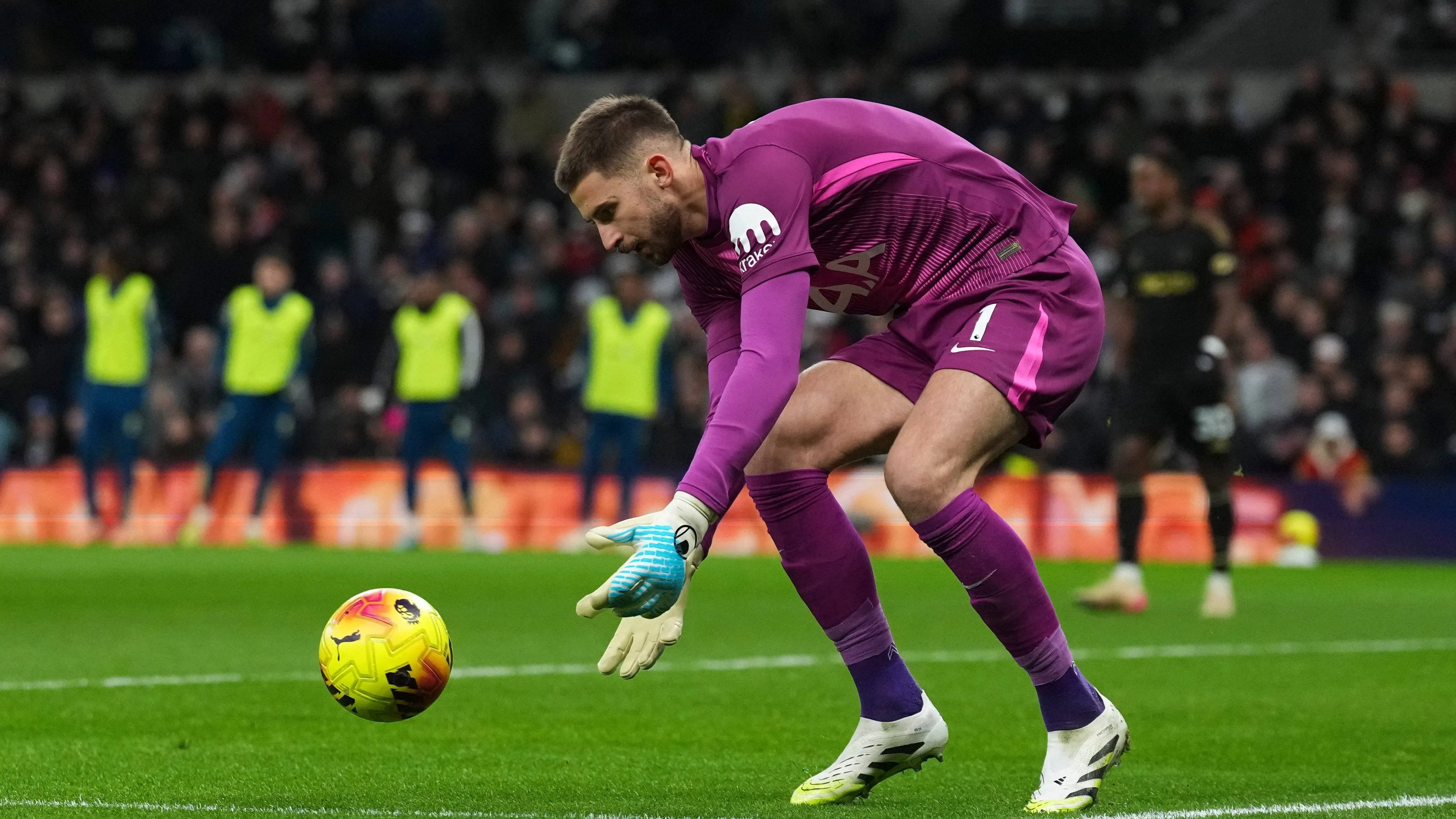 Guglielmo Vicario, portiere del Tottenham