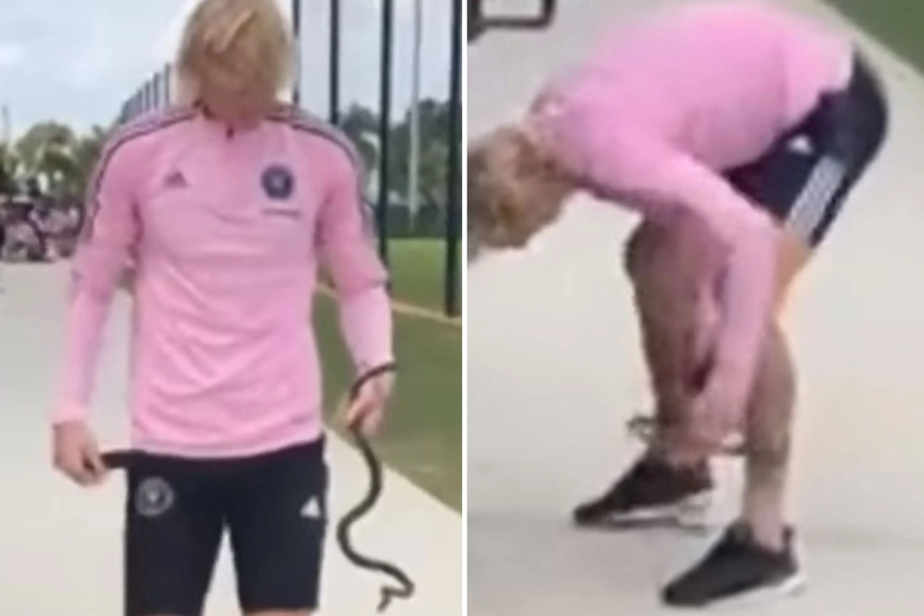 Copertina di Inter Miami, Brek Shea cattura serpente a mani nude durante l’allenamento