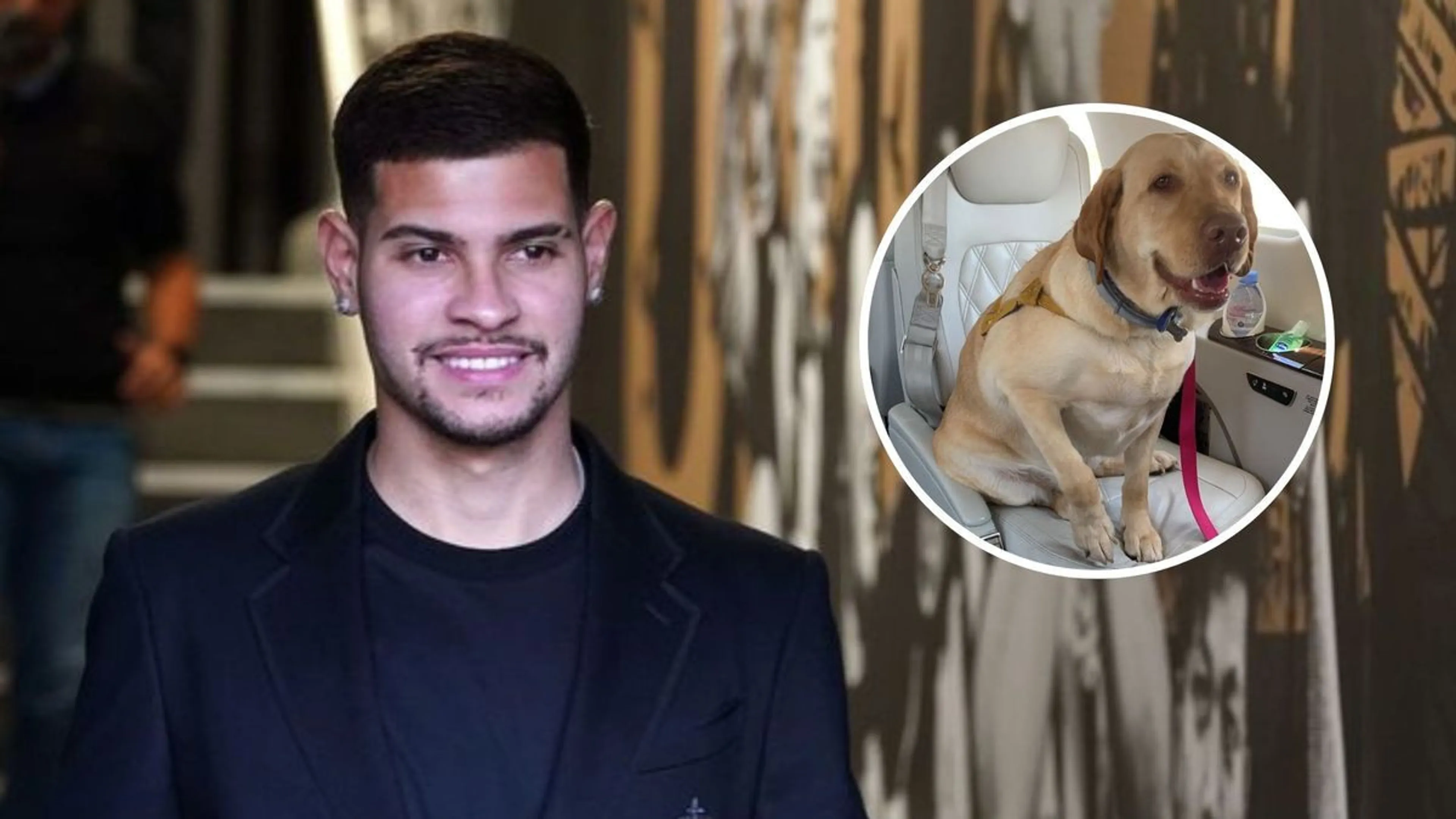 Copertina di Finalmente riuniti! I labrador di Bruno Guimaraes volano a Newcastle in un jet privato