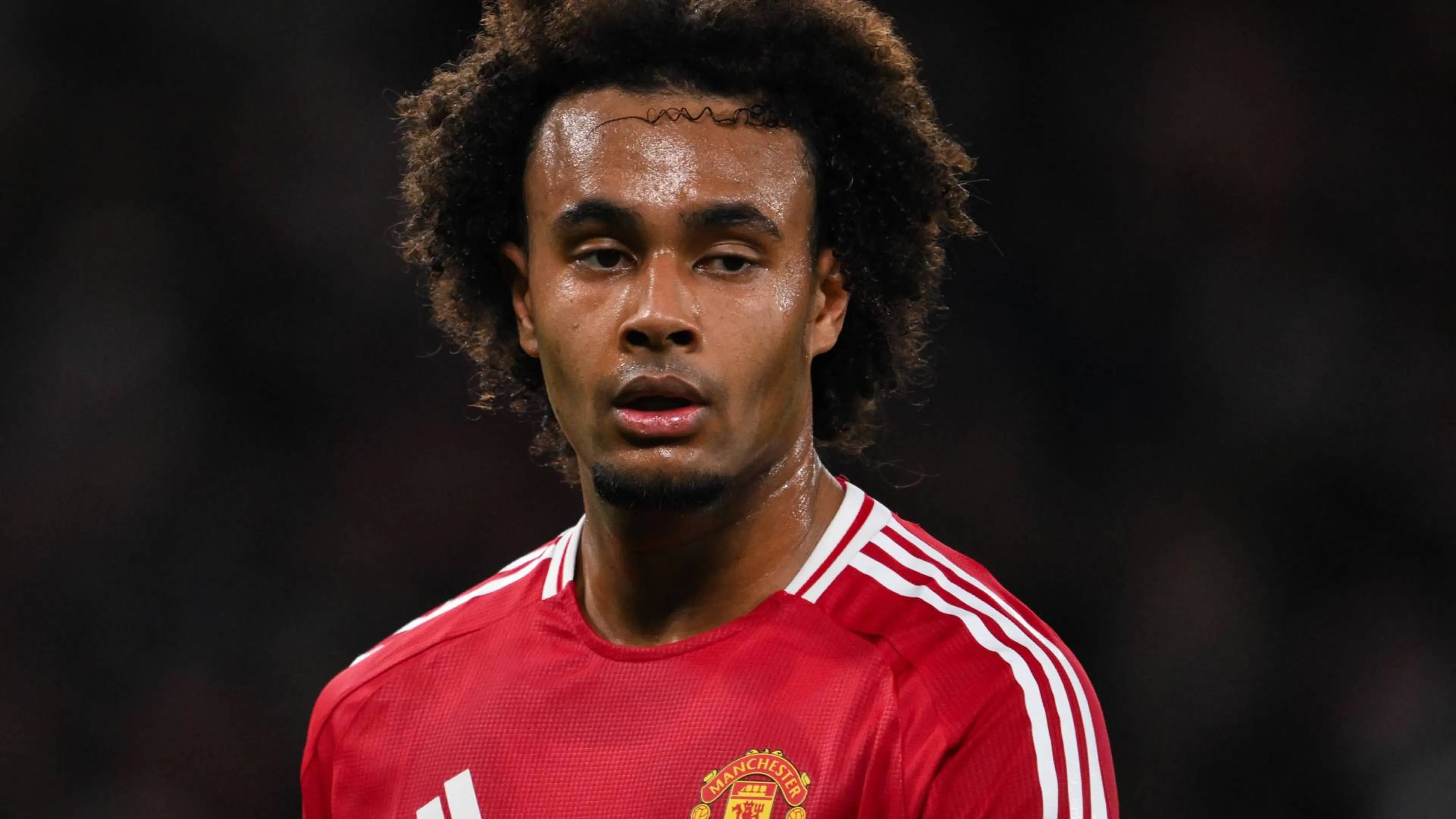 Copertina di Zirkzee, Pedullà non ha dubbi: "Umiliato da Amorim, l'unica strada giusta è il ritorno in Italia"