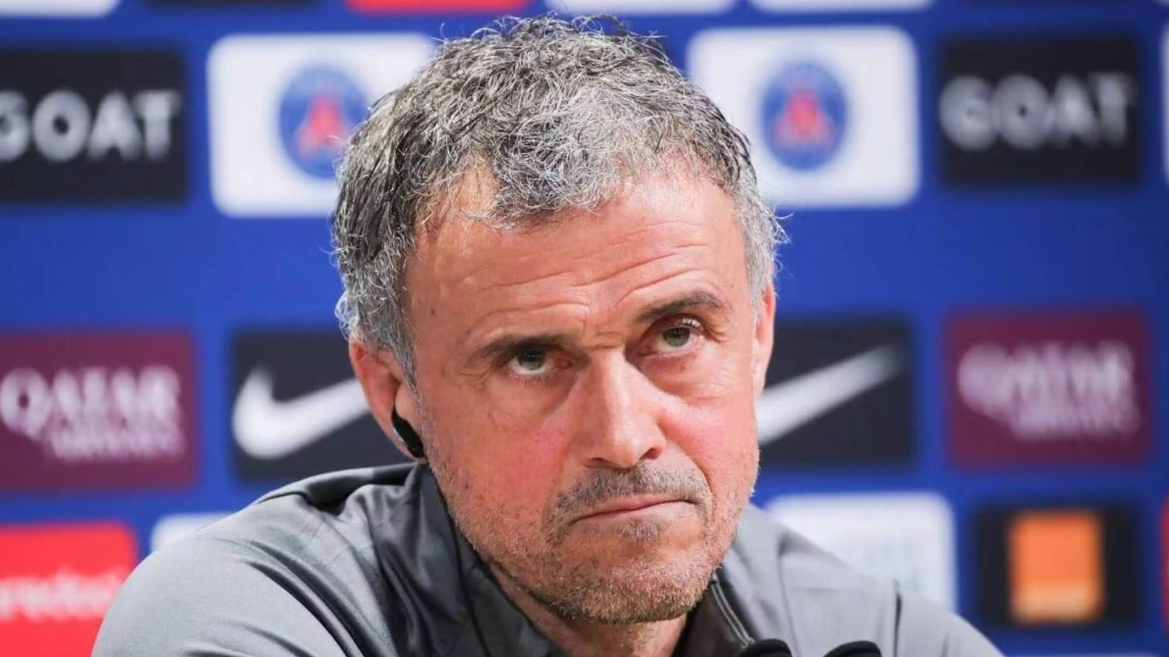 Copertina di Psg, Luis Enrique show in conferenza: "Leao?" Il tecnico spiazza tutti