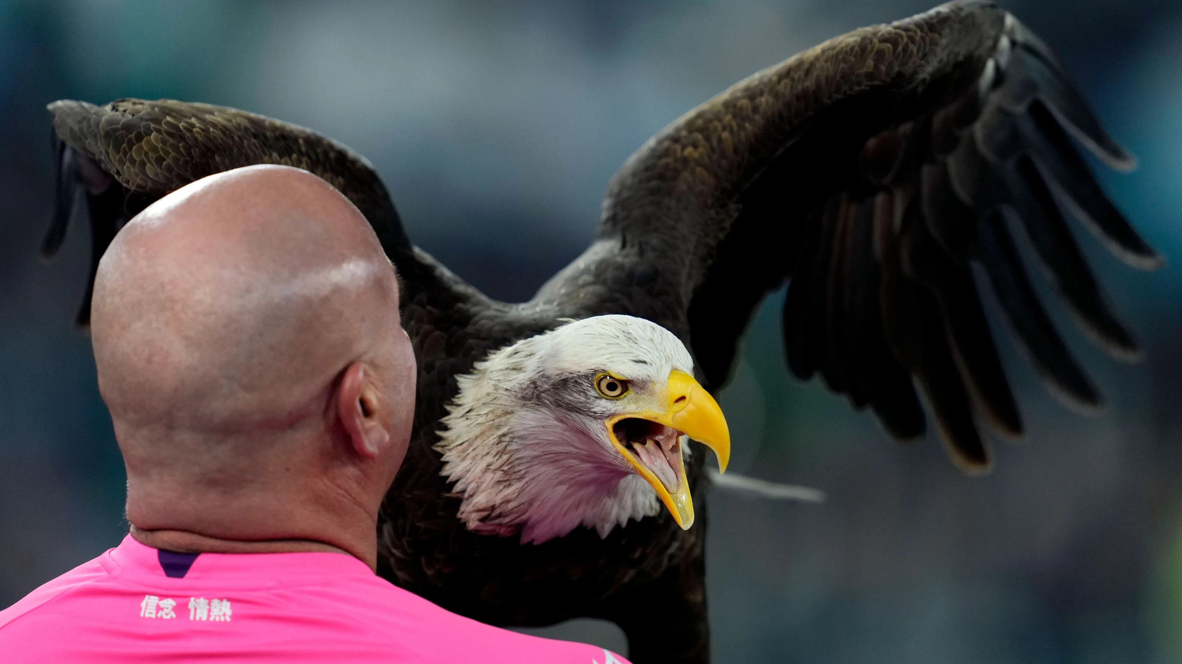 Copertina di Mascotte of the SS Lazio Eagle Olimpia with the head coach Juan Bernabe prior to Serie A SS Lazio v Atalanta Olimpico December 28 2024 Rome Italy