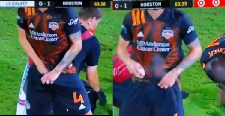 /images/m/l/s/mls-spray.jpg