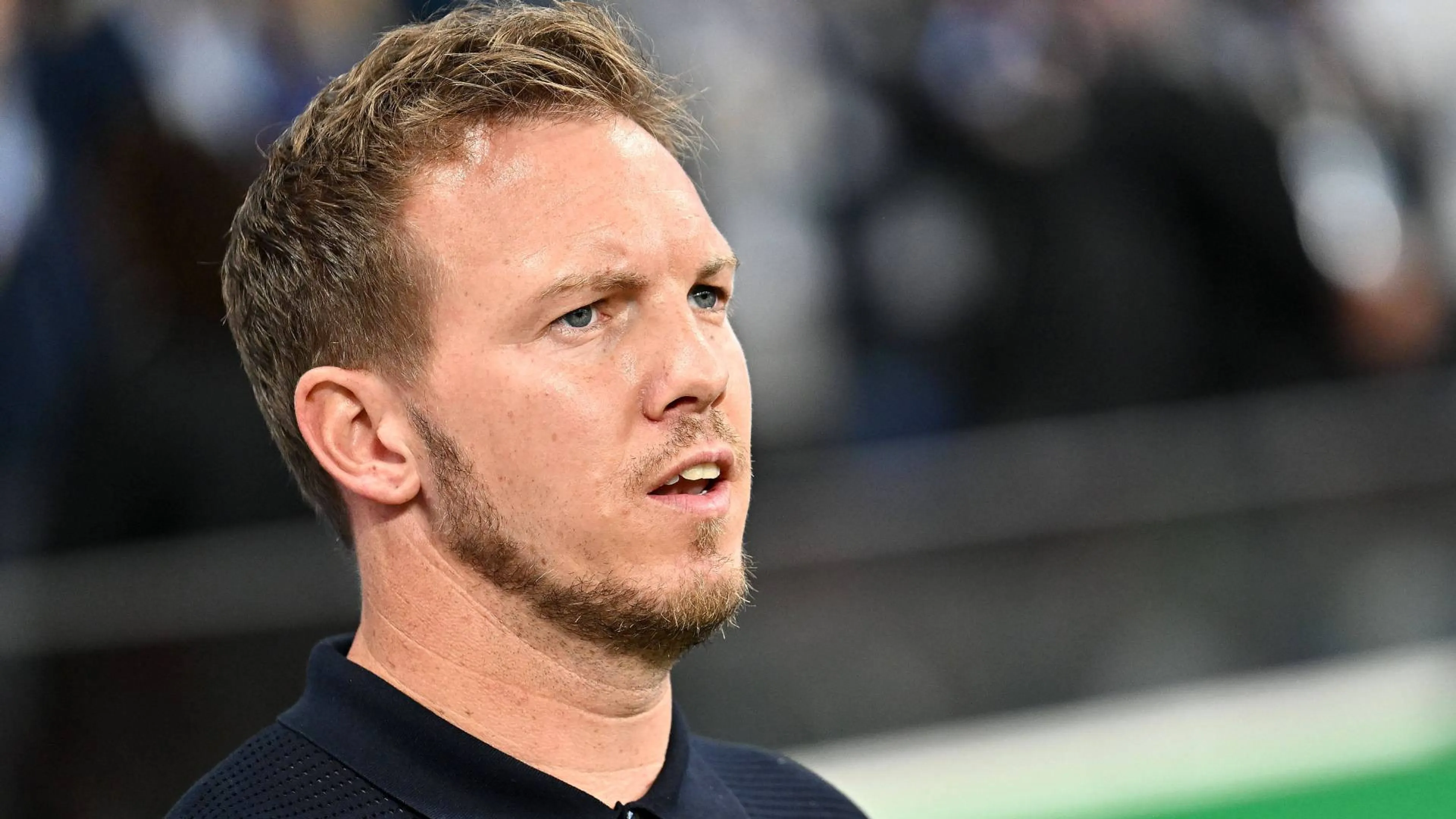 Invasione di zanzare nel ritiro della Germania. Nagelsmann: "Dobbiamo restare al chiuso"