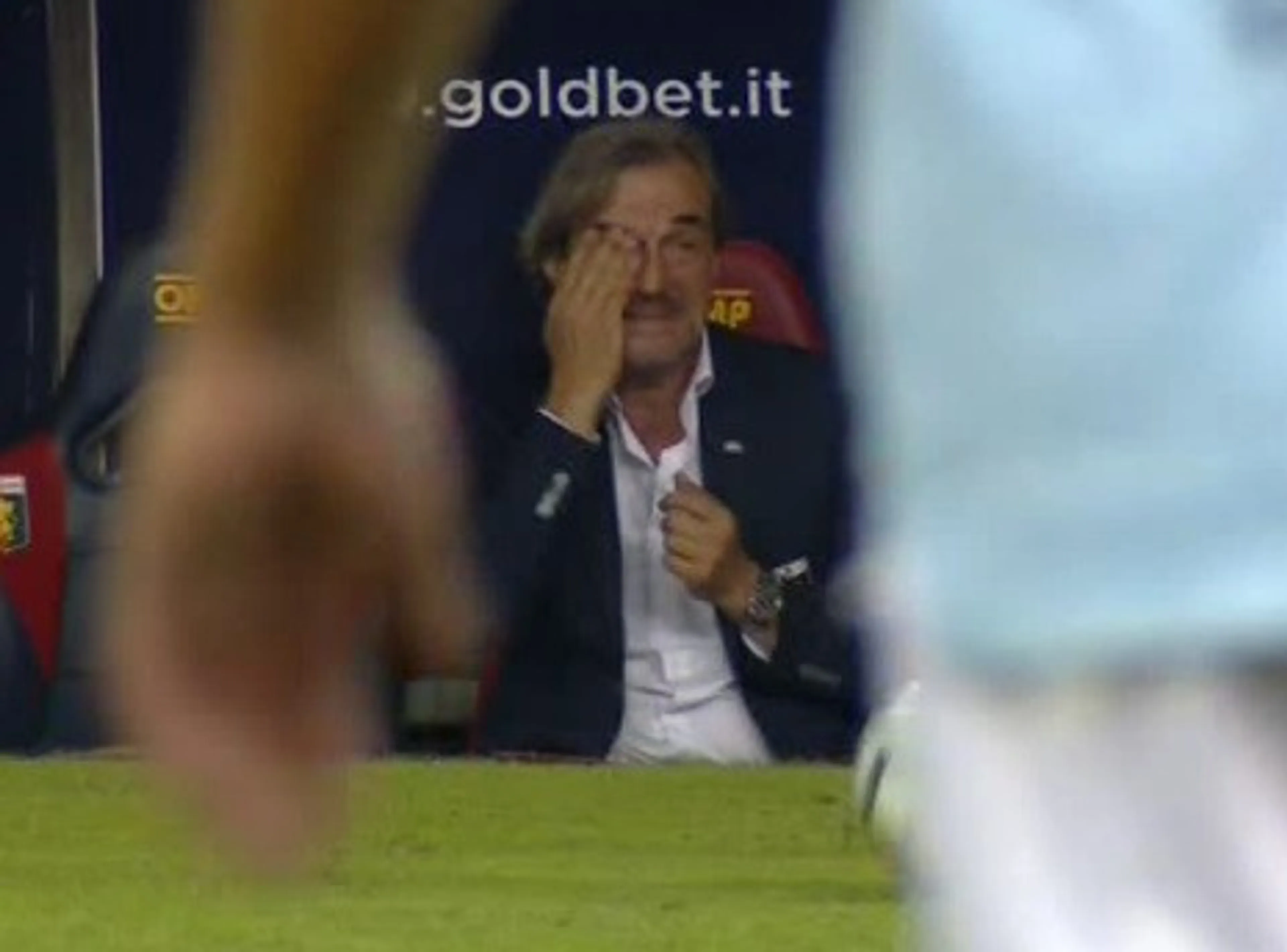 pellegrisito