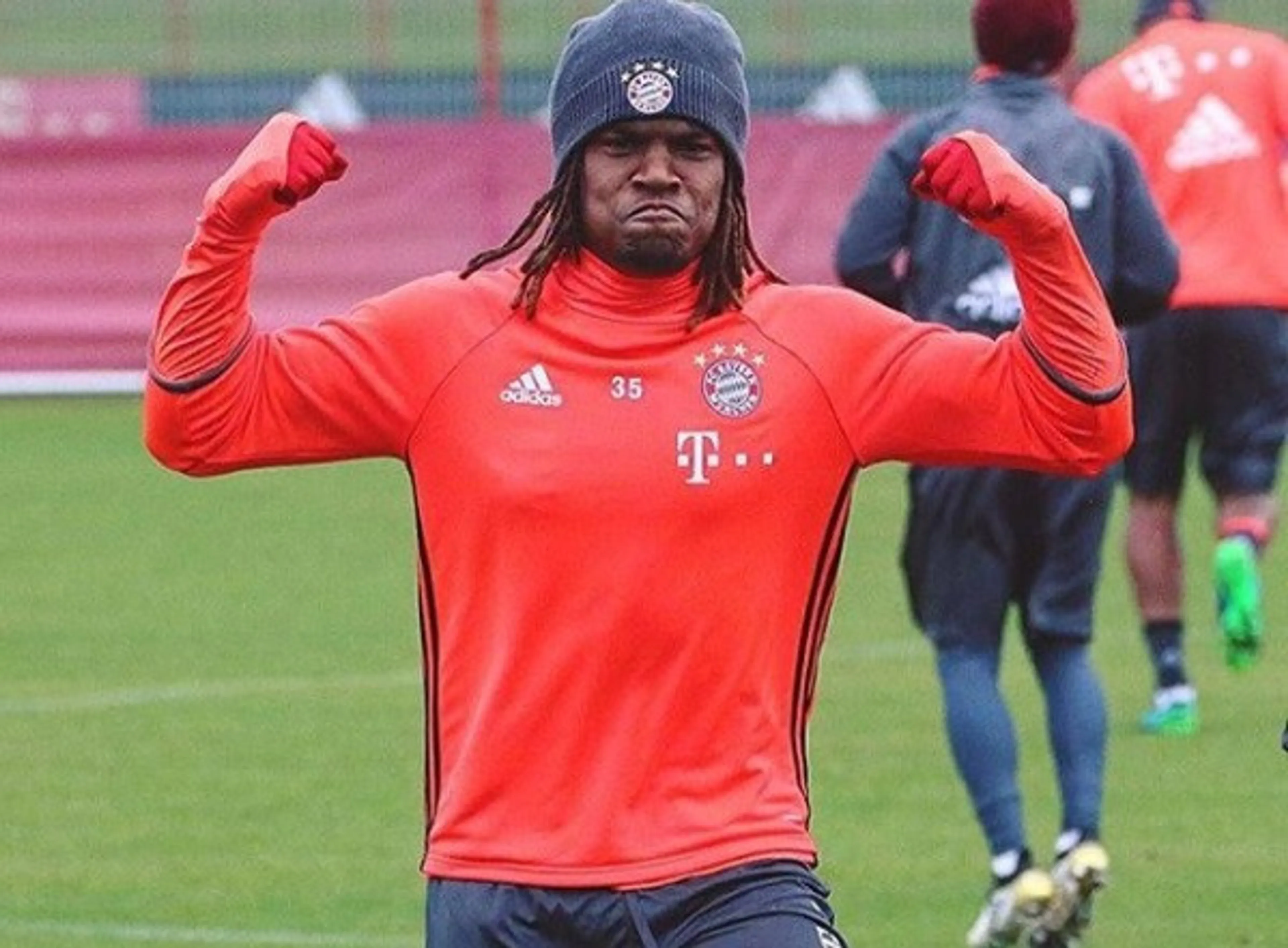 renatosanches