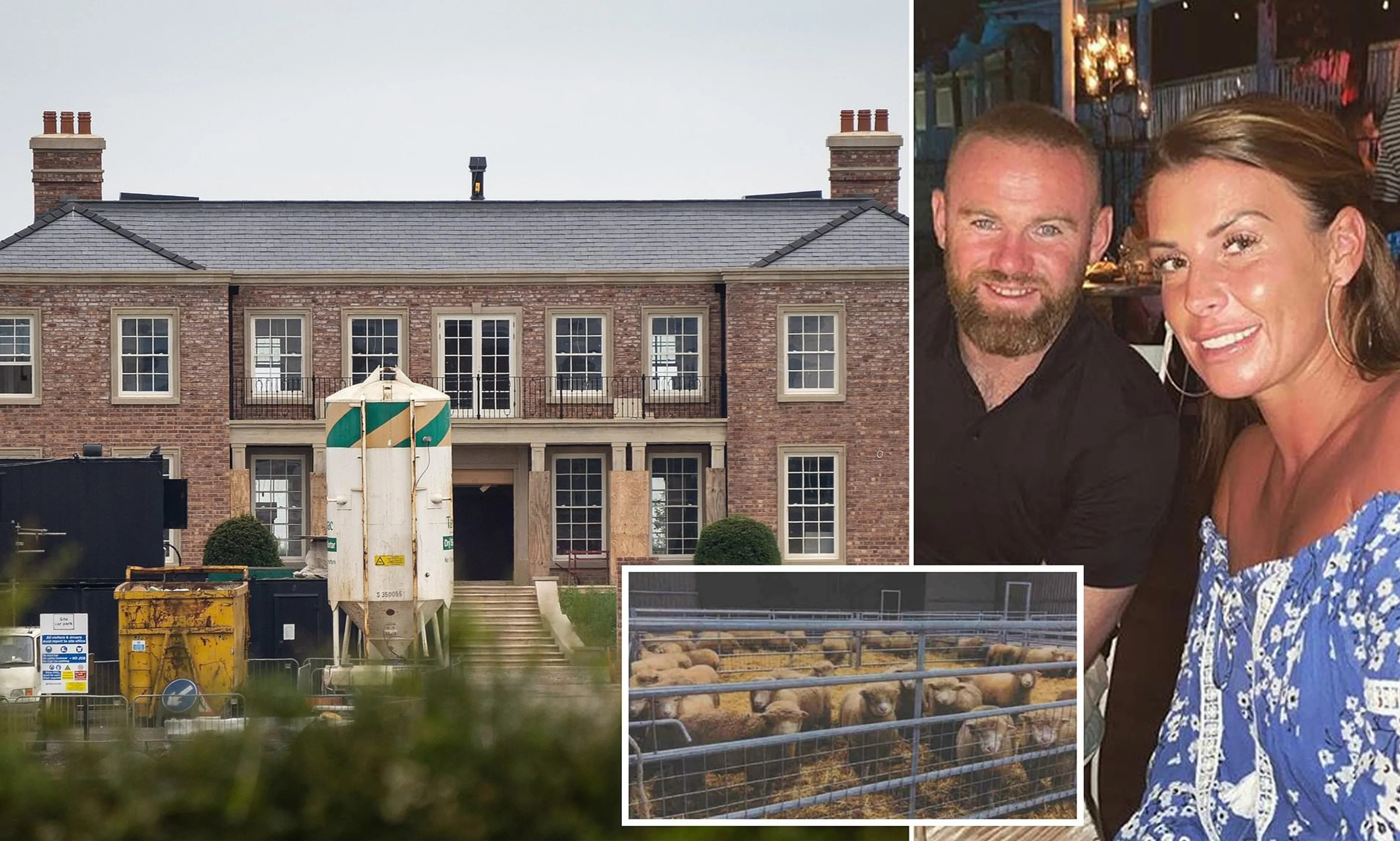 Copertina di Rooney come Ronaldo, Natale rumoroso per colpa…delle 200 pecore del vicino