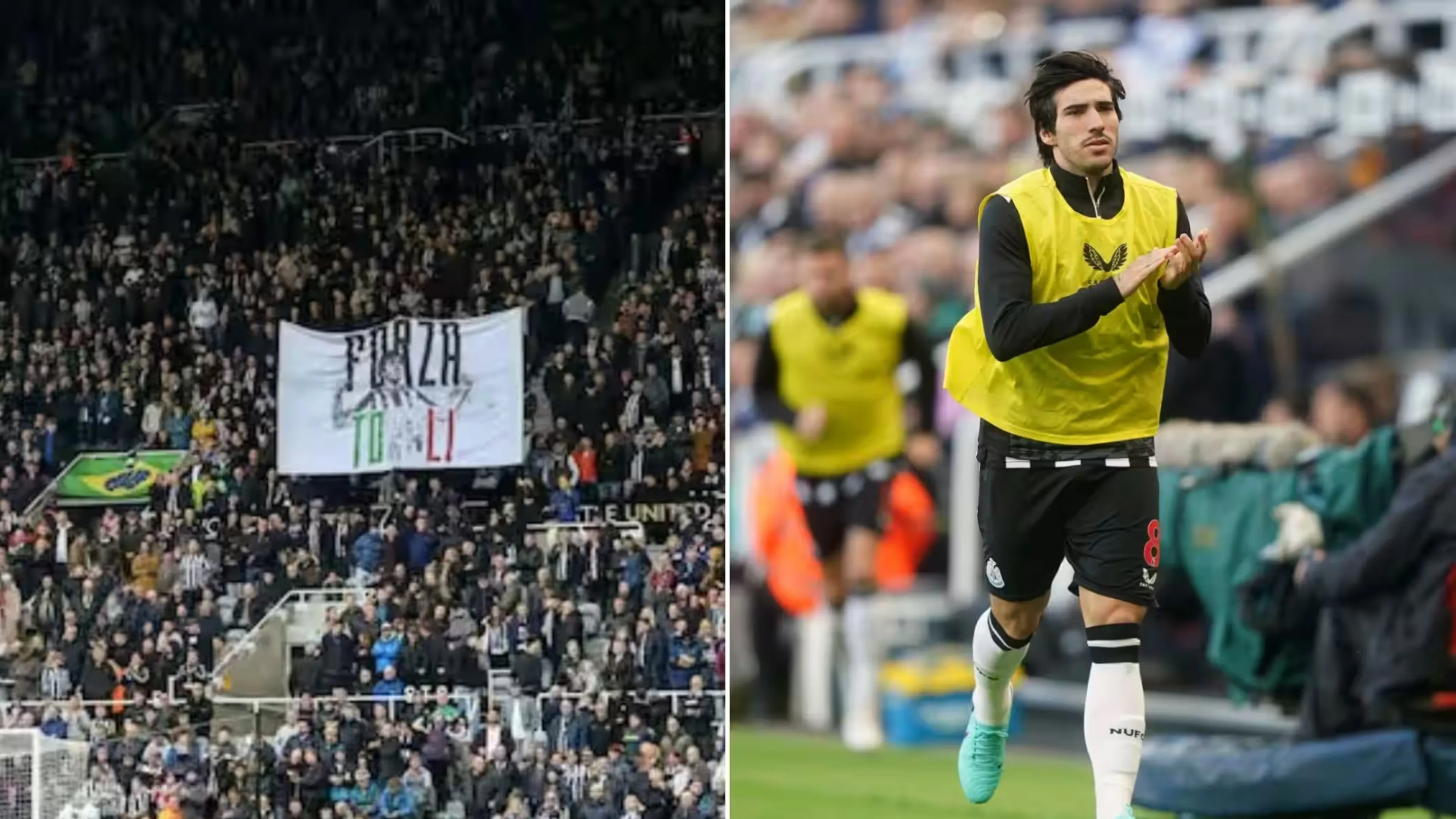 Copertina di Cori e ovazioni per Tonali a Newcastle: squadra, tifosi e allenatori con lui (VIDEO)