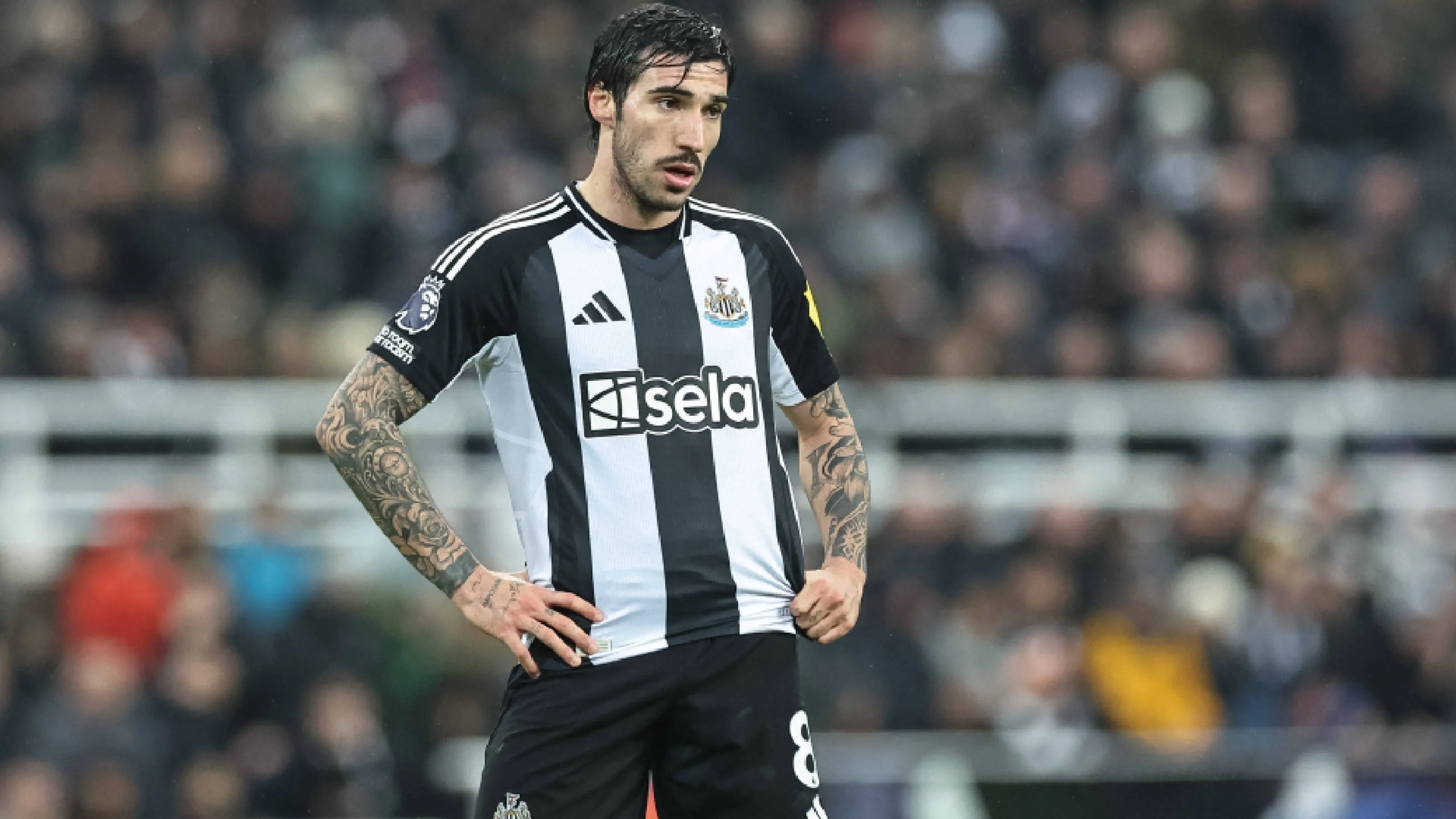 tonali-ritorno-in-italia