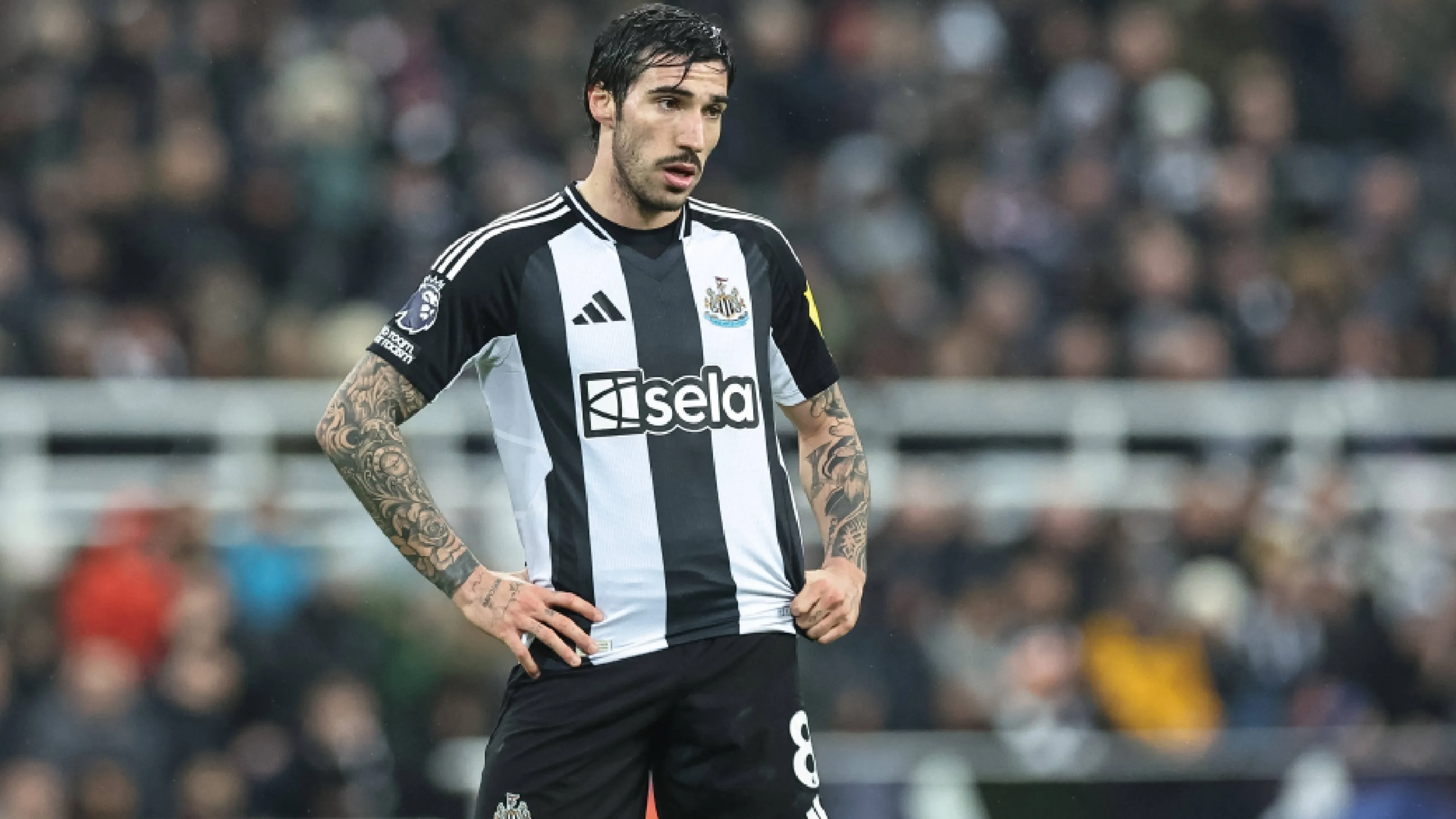 Copertina di Aria di divorzio tra Tonali e il Newcastle: il Milan spera, ma in Italia altri club interessati