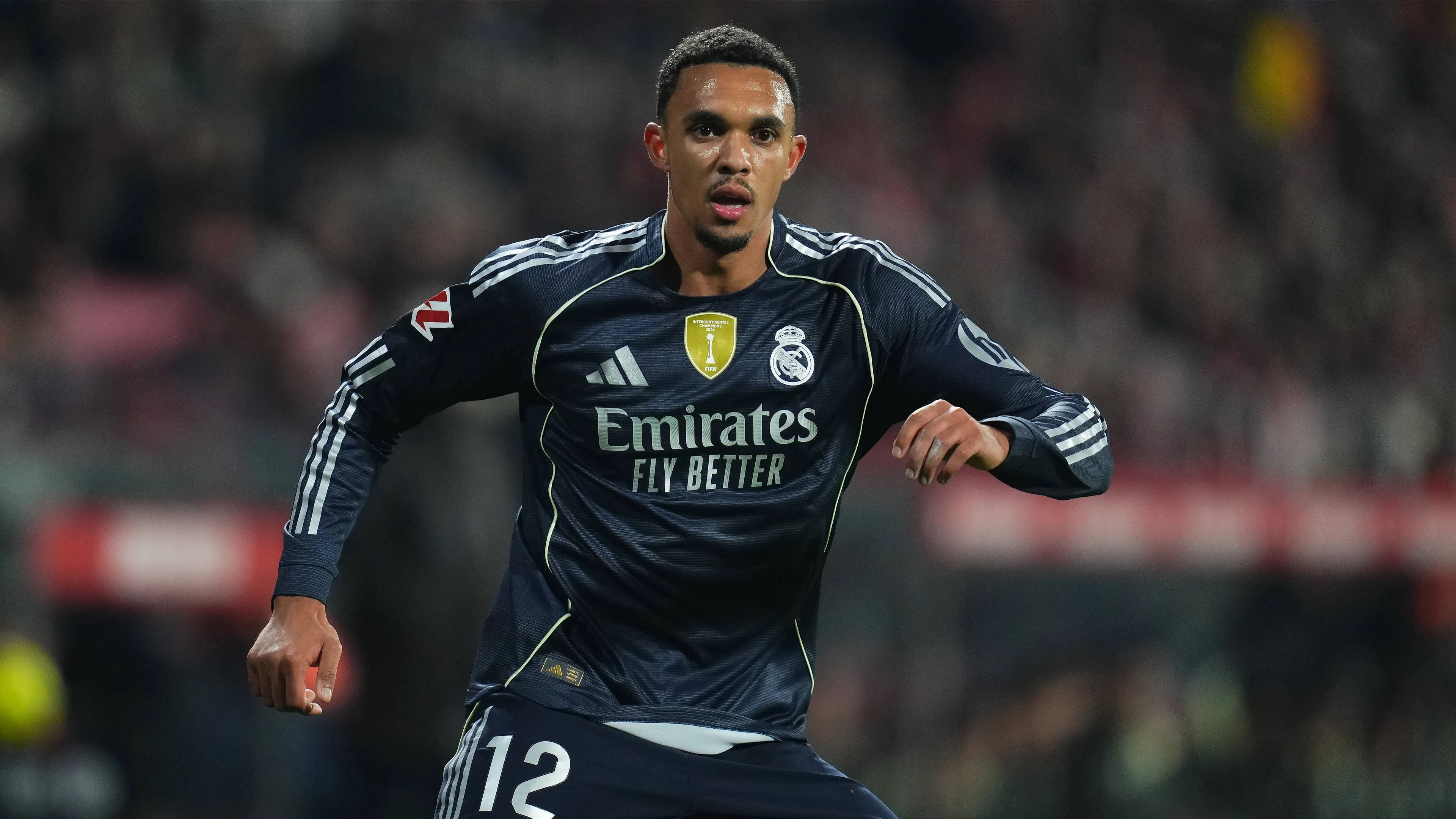 "Un coniglio abbagliato dai fari", il significato della critica a Alexander-Arnold