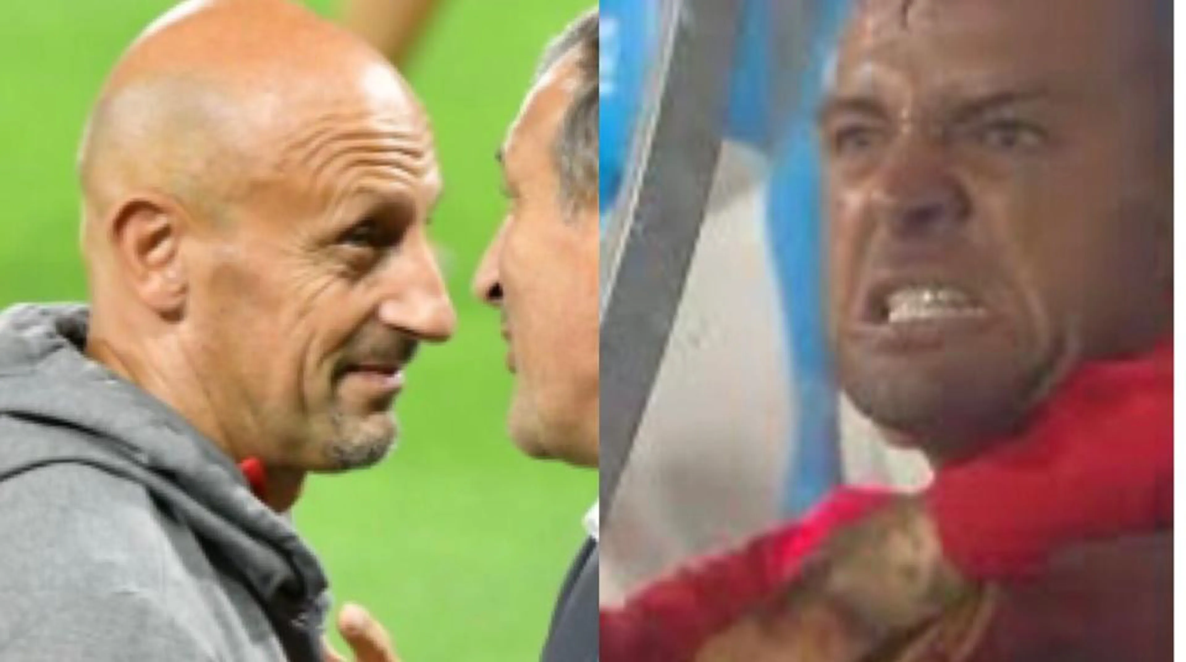 Copertina di In Spal-Vicenza Padella sostituito esplode contro Di Carlo: rissa sfiorata