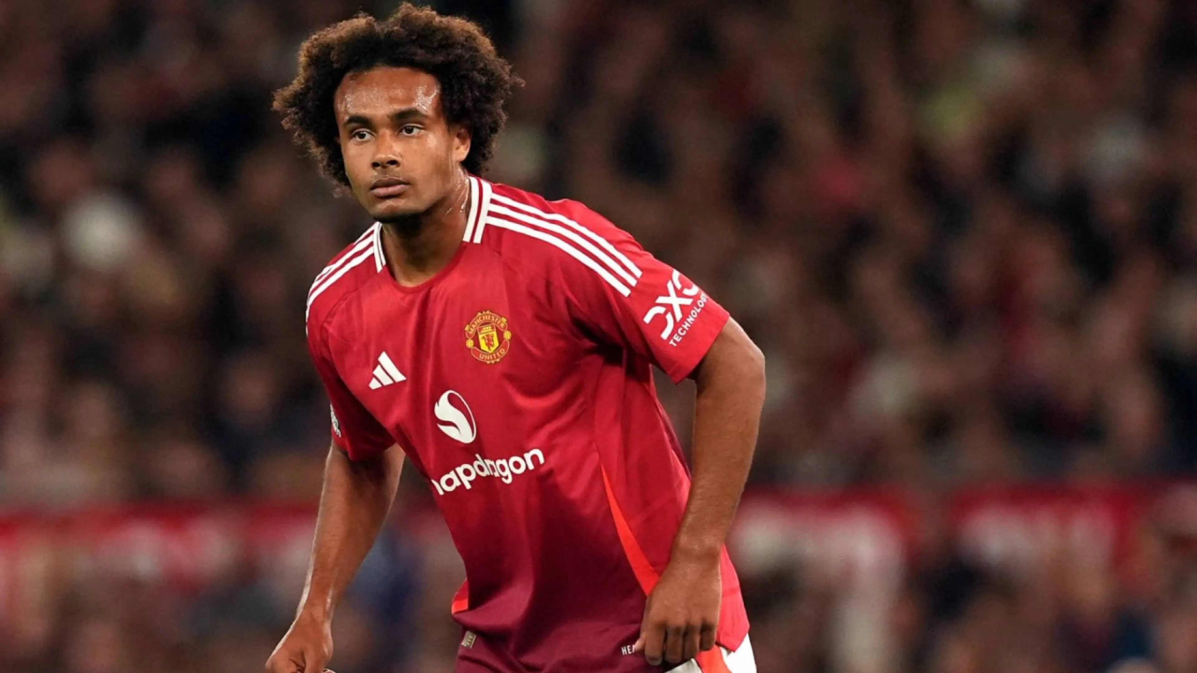 Zirkzee nel mirino dei tifosi per un clamoroso errore: "Lukaku 2.0" (VIDEO)