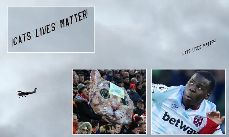 /images/z/o/u/zouma-1-1.jpg