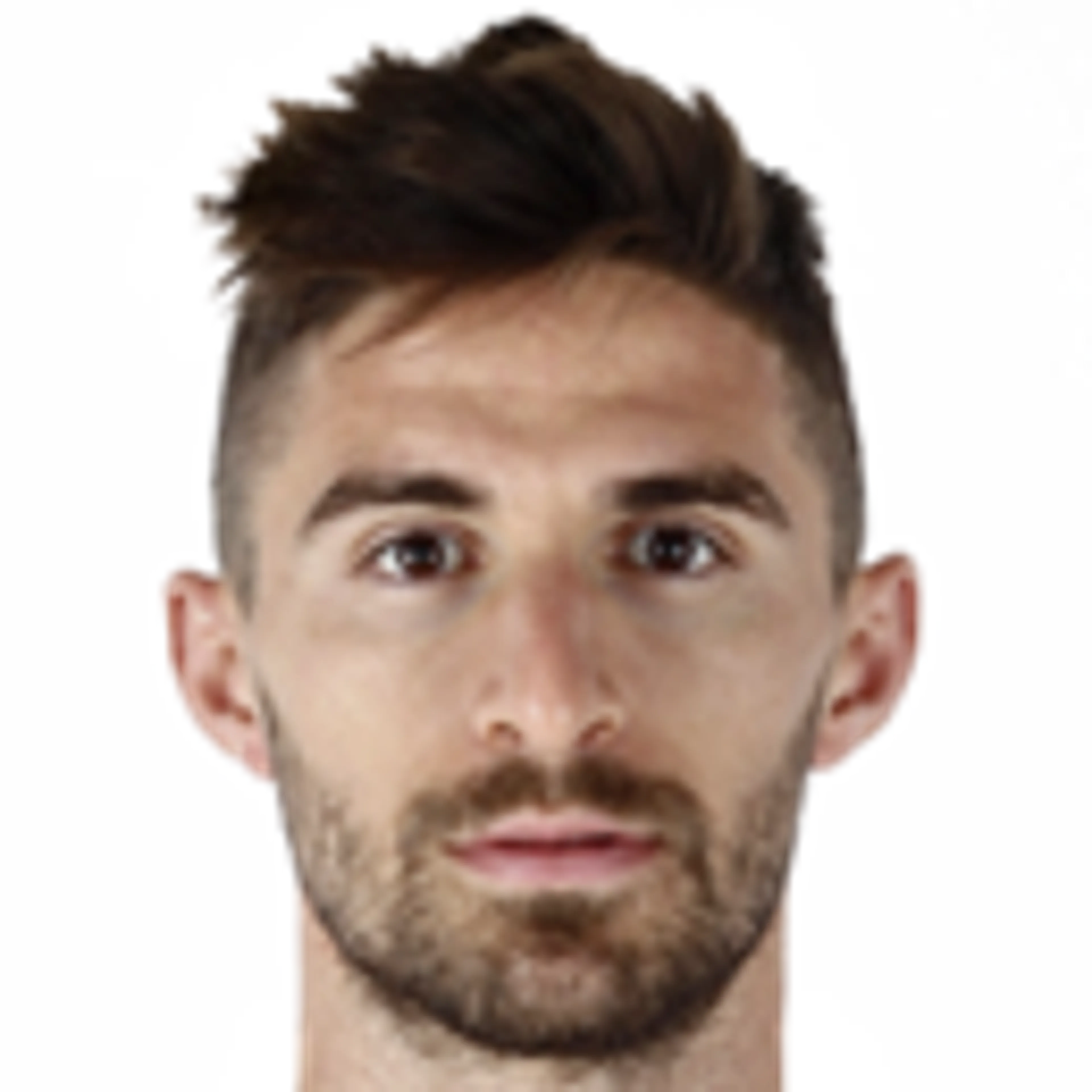 F. Borini