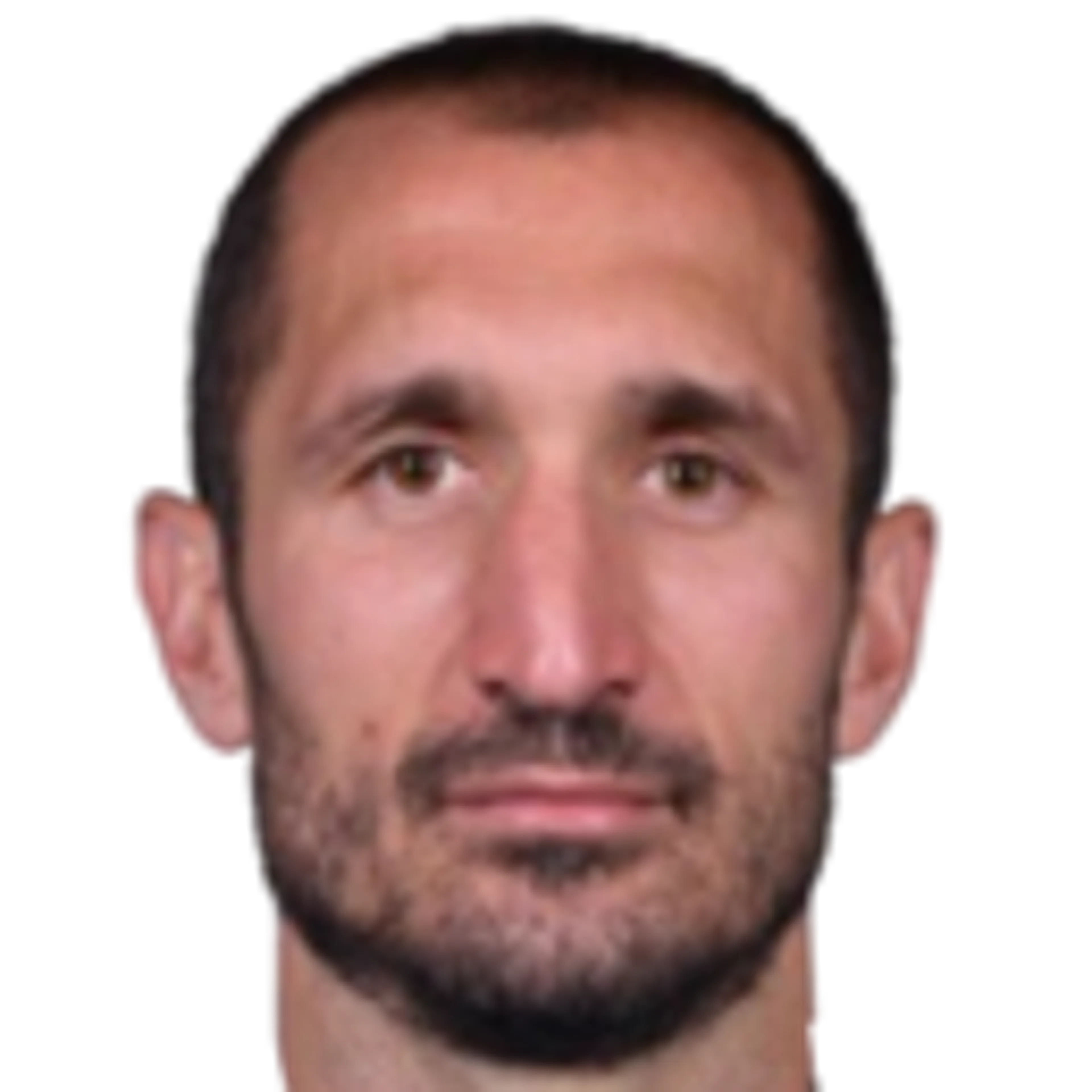 G. Chiellini