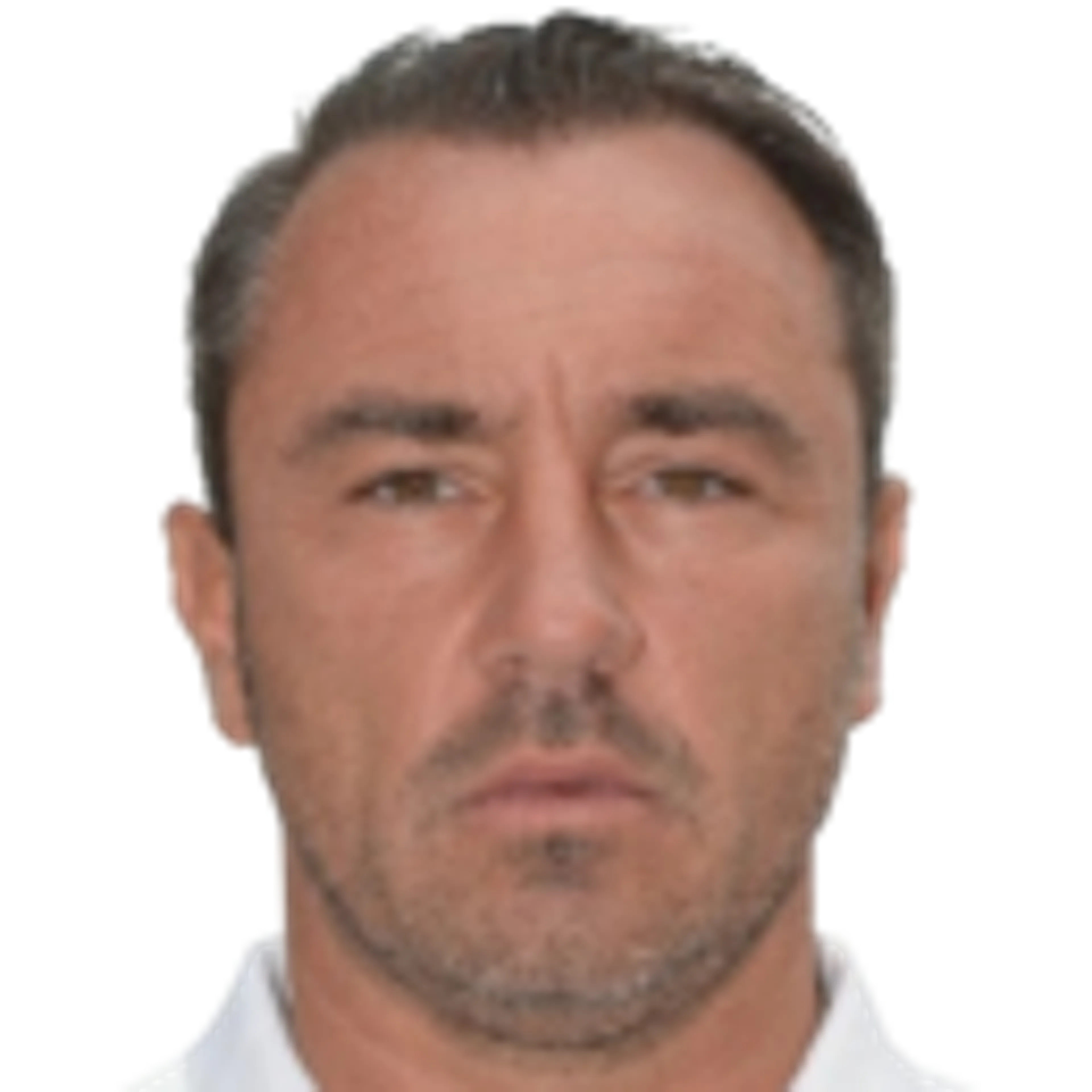 C. Brocchi