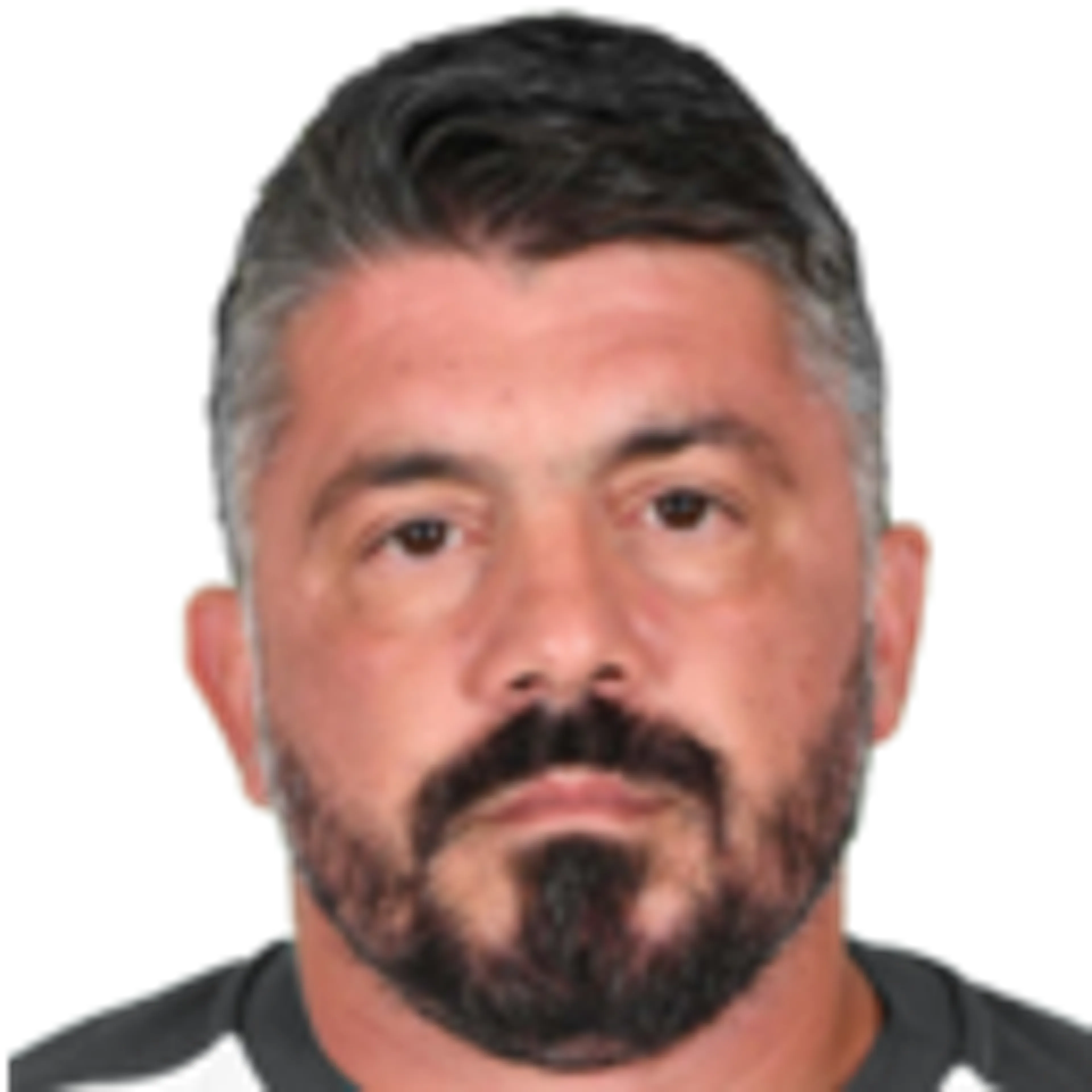 G. Gattuso
