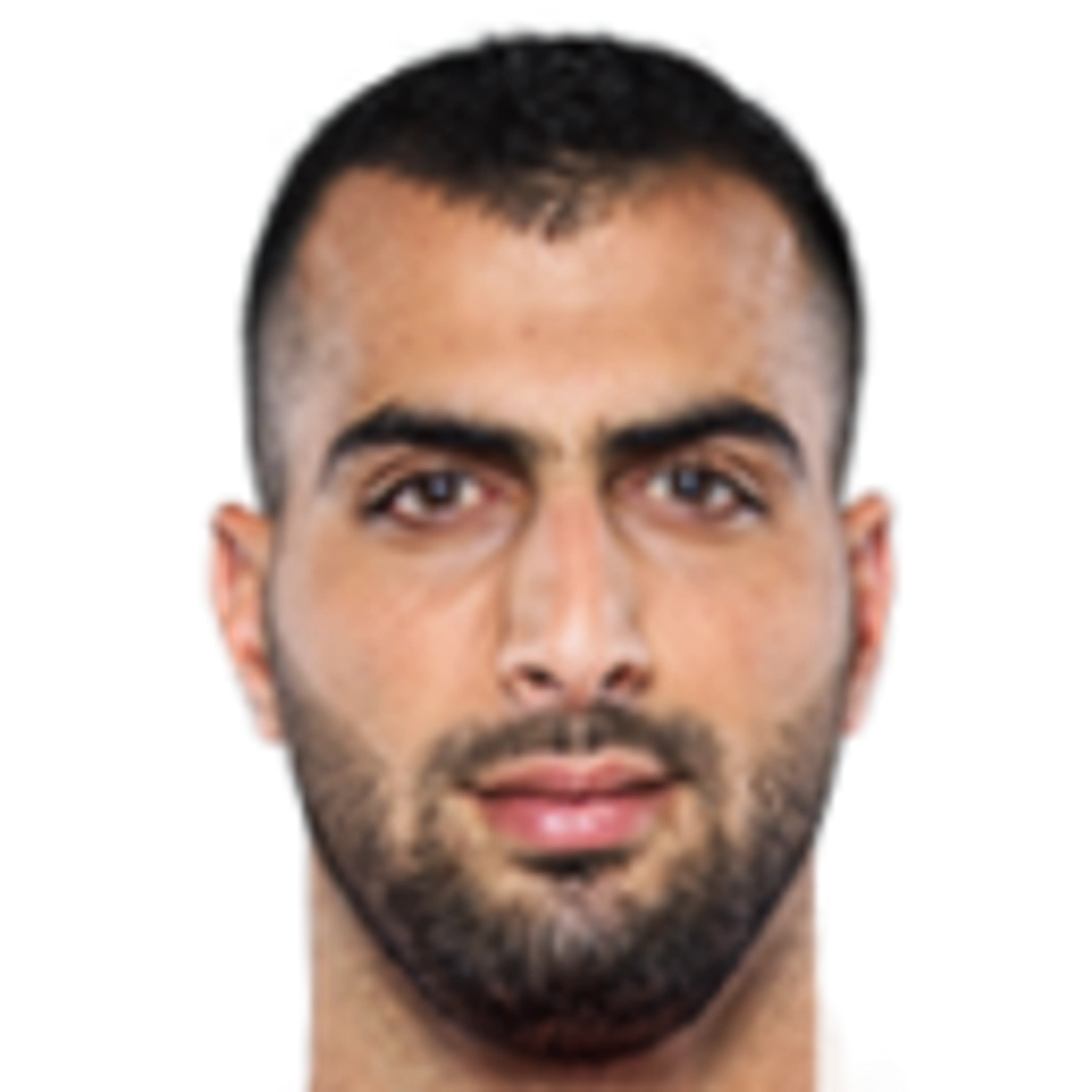 L. Taha