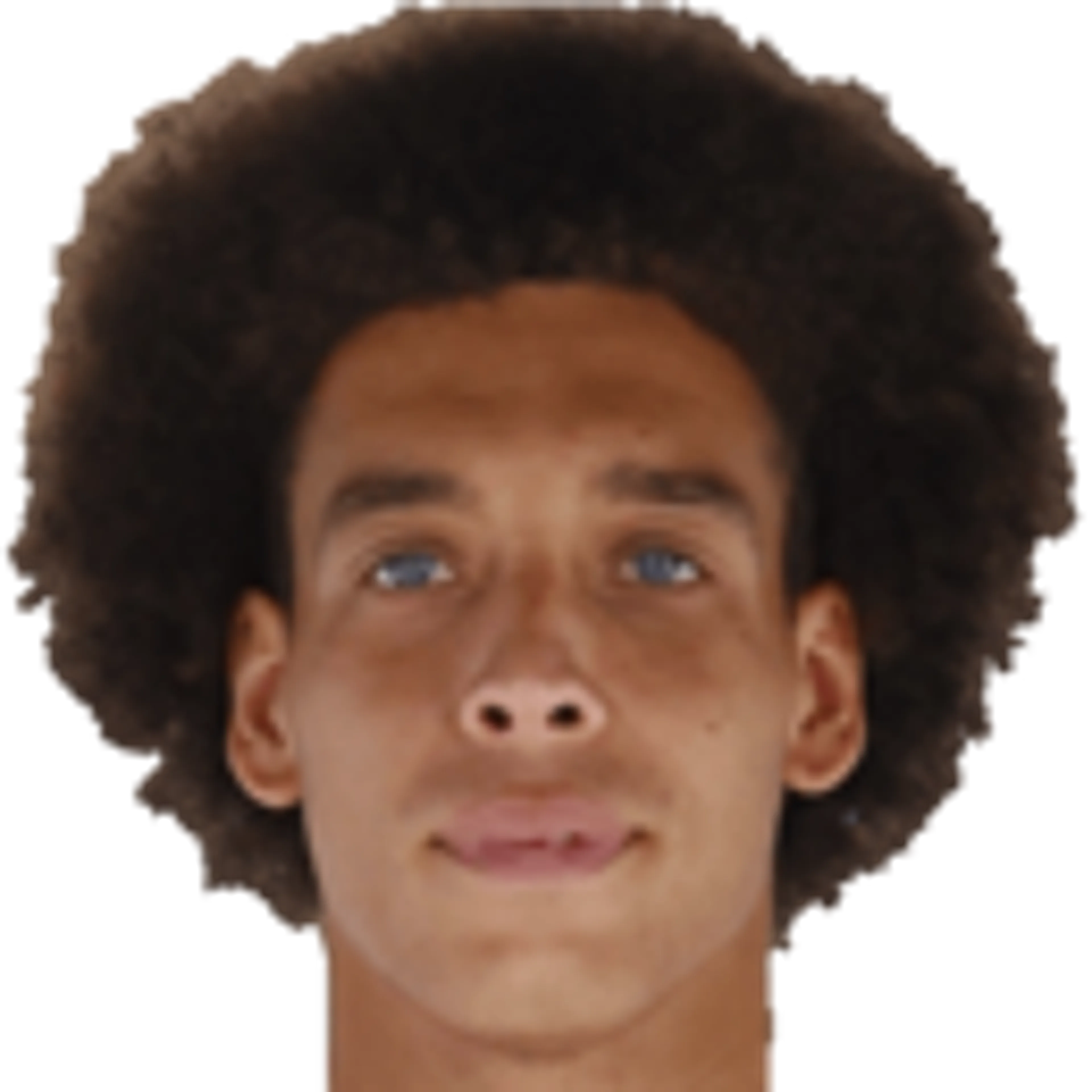 A. Witsel