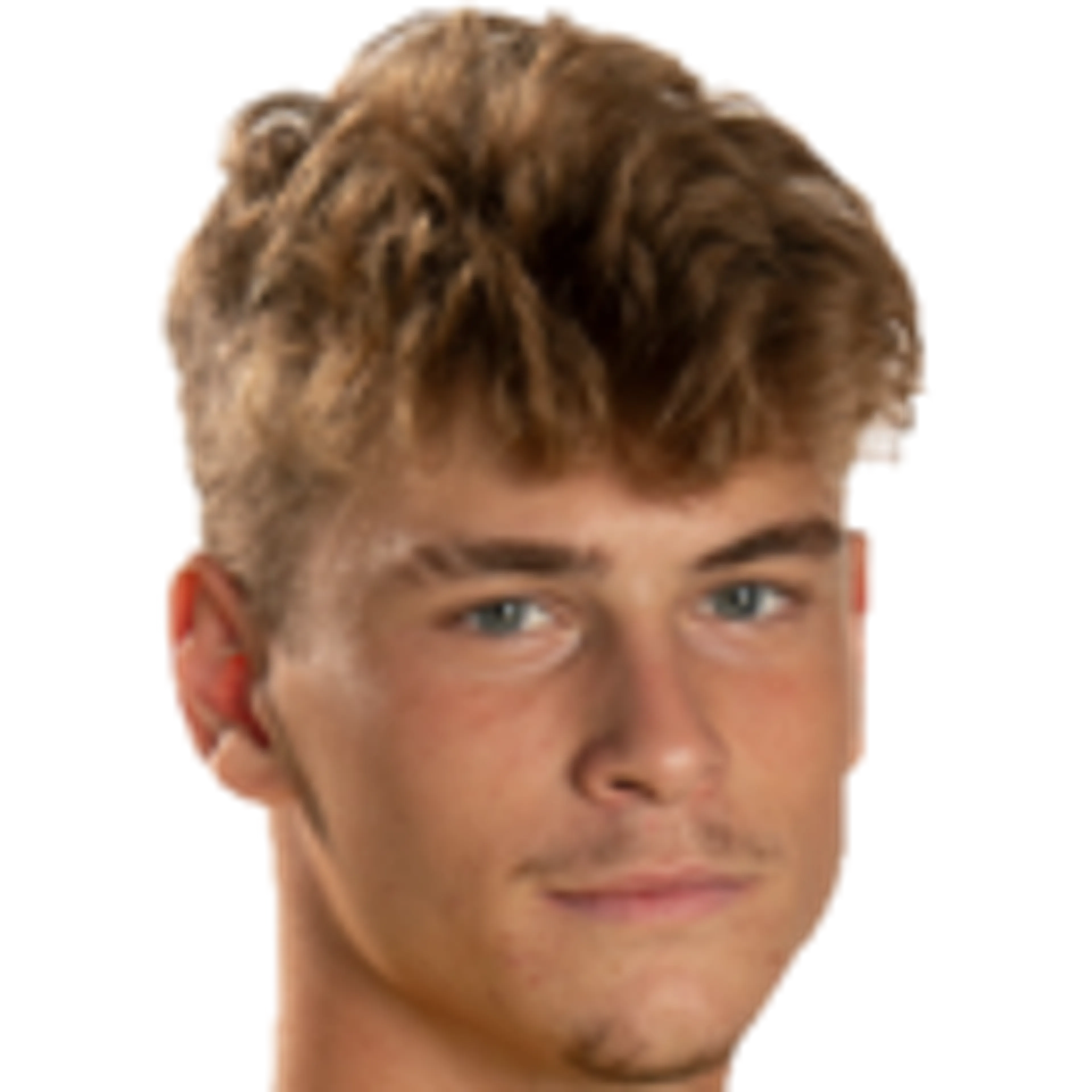 N. Bonfanti