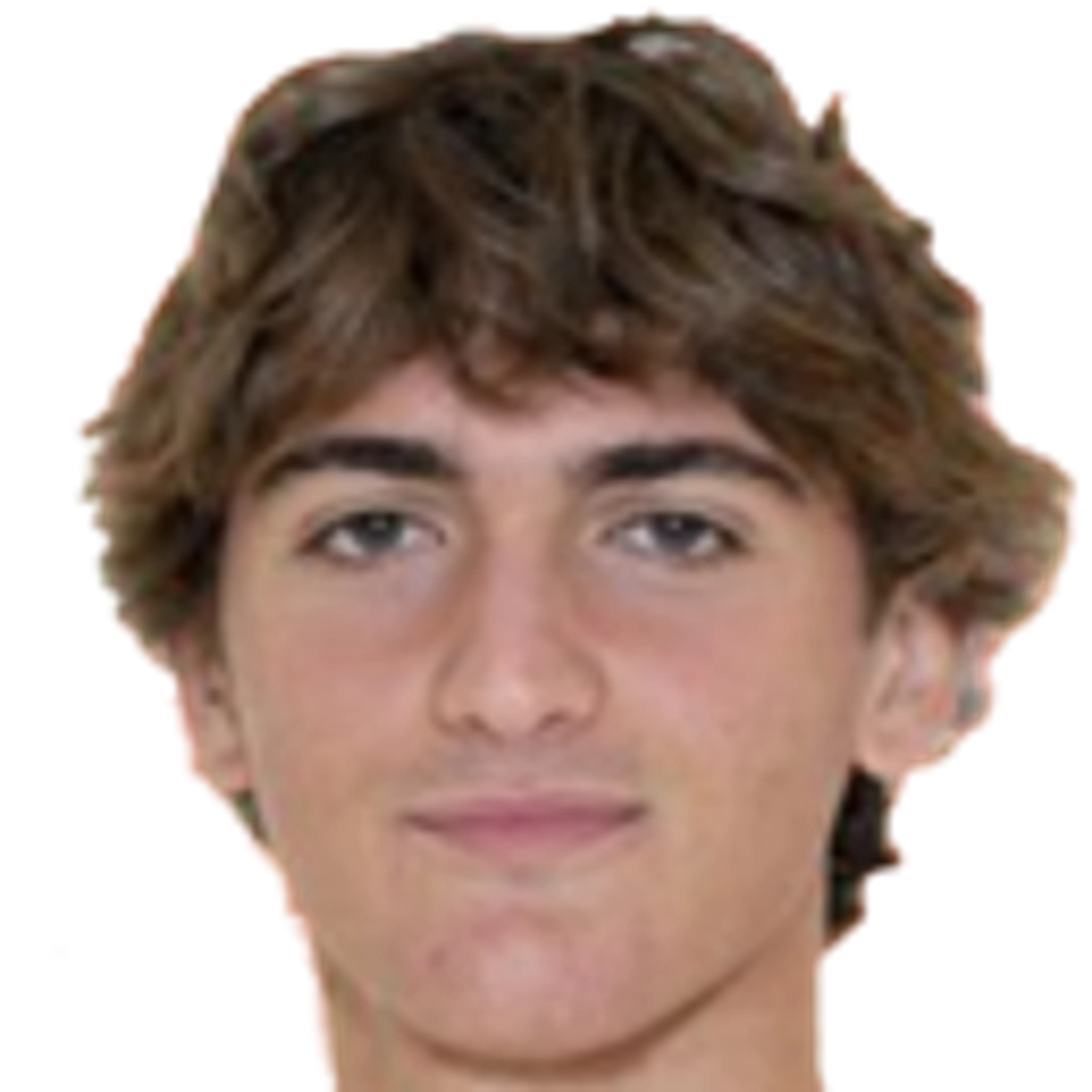 J. Surricchio