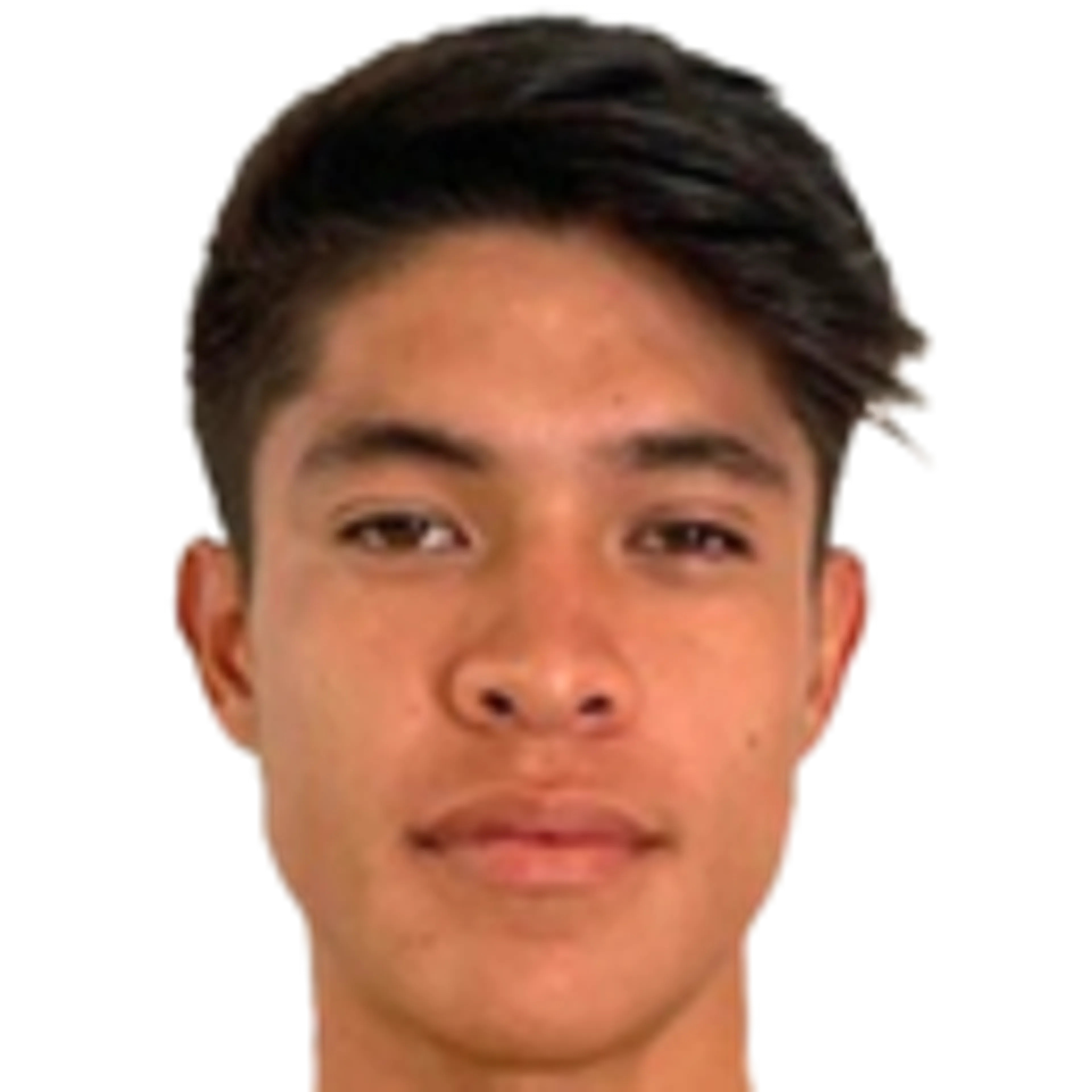 E. Álvarez Saldaña