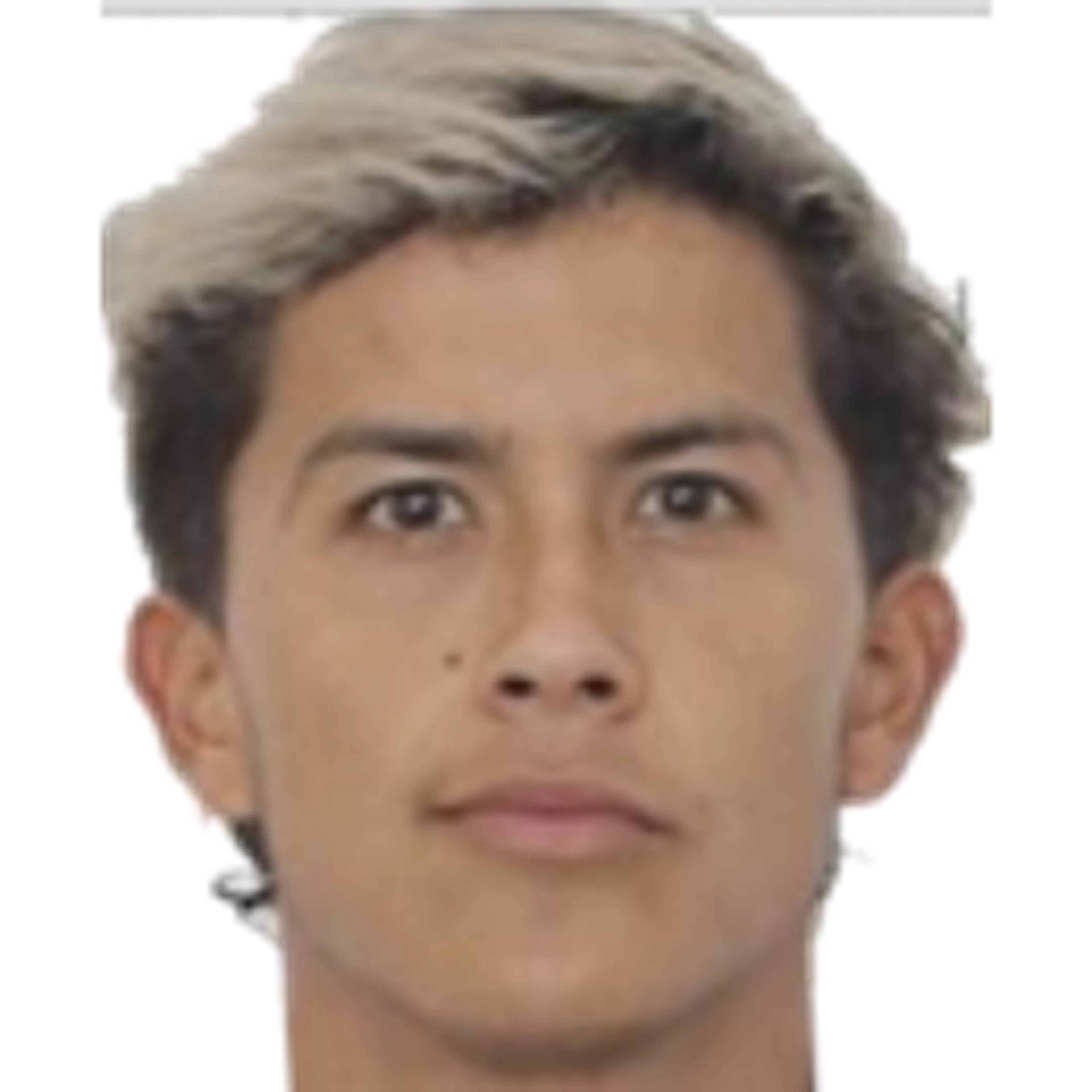 J. Ochoa