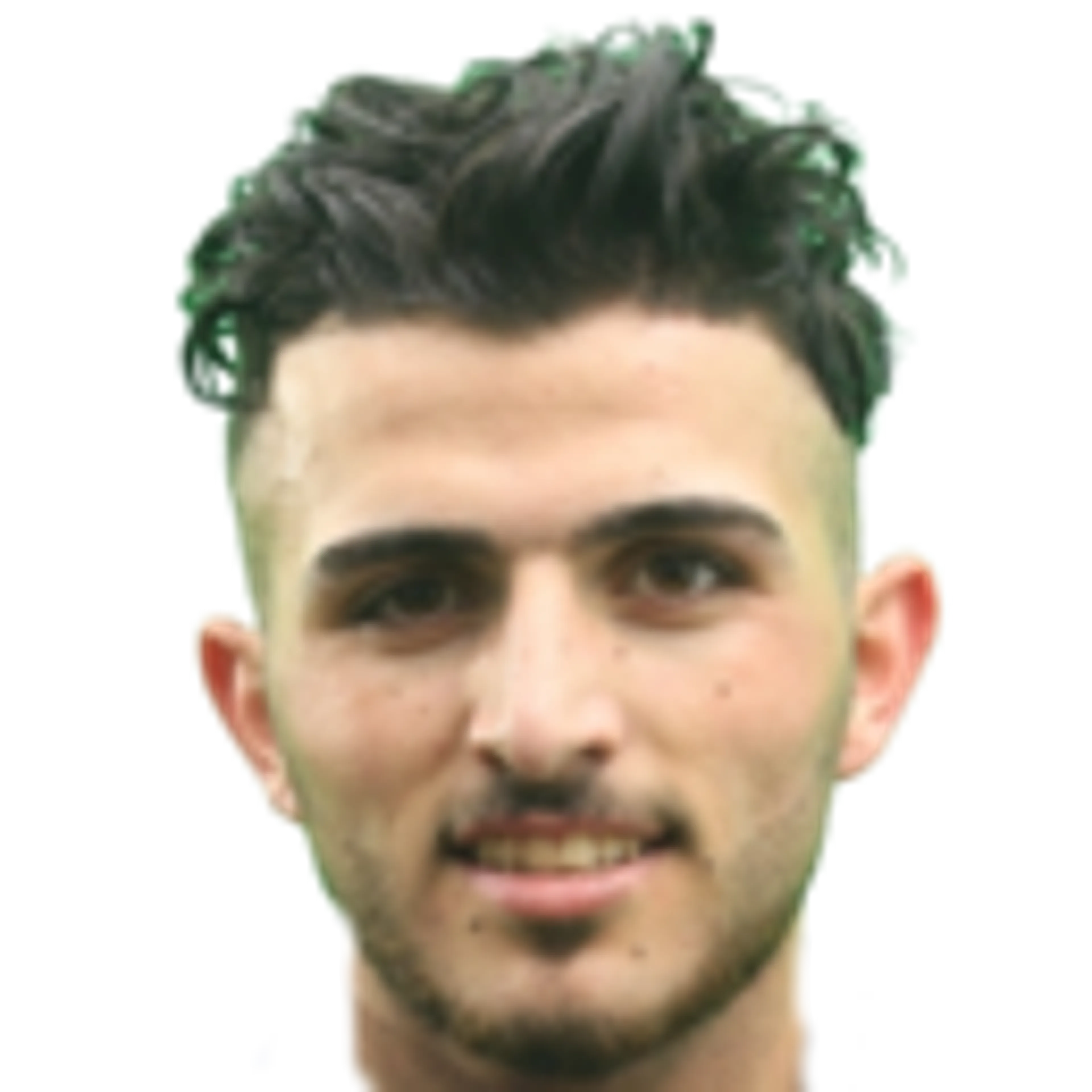 M. Al Zoubi