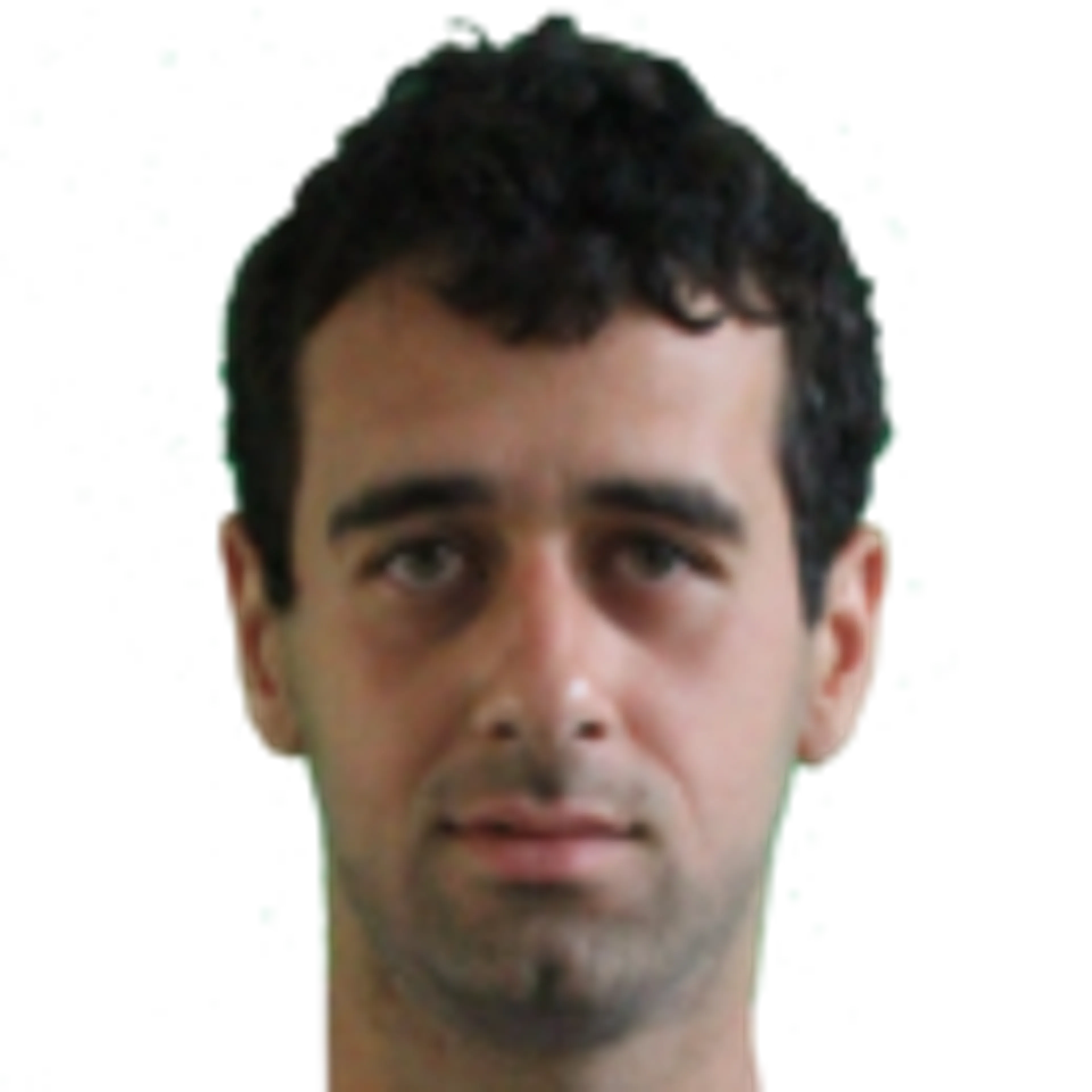 A. Adamyan